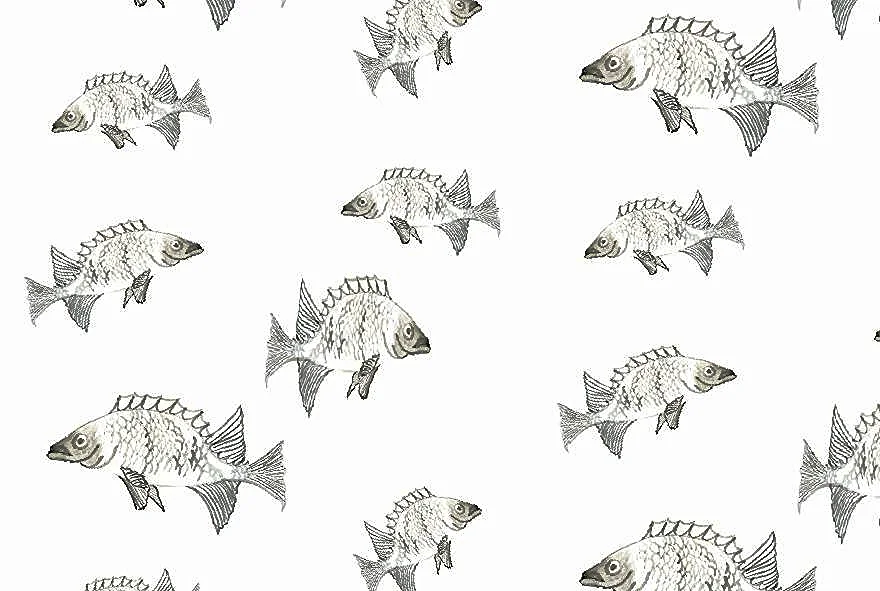 Sumi ink Fish Snap.JPG