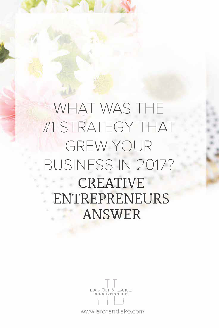 For the last couple of weeks I have been asking entrepreneurs what the #1 strategy they used to grow their business in 2017 was, basically the thing that grew their business the most. These are the results!