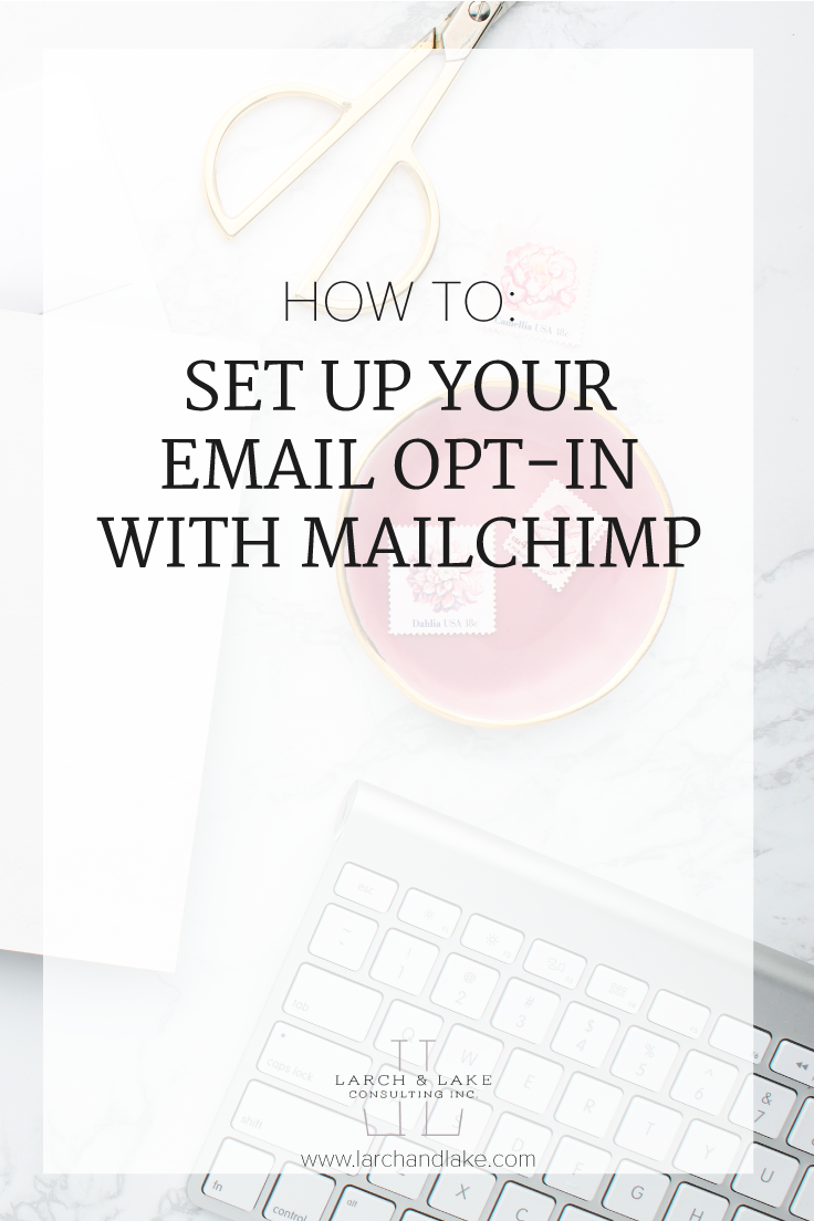 You have the email opt-in, but now you need to start collecting those emails. There are several ways you can do this, let's look at them further. 