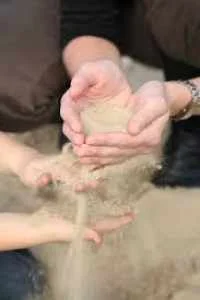sand_tray_therapy.jpg
