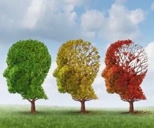 loss_of_grey_matter.jpg