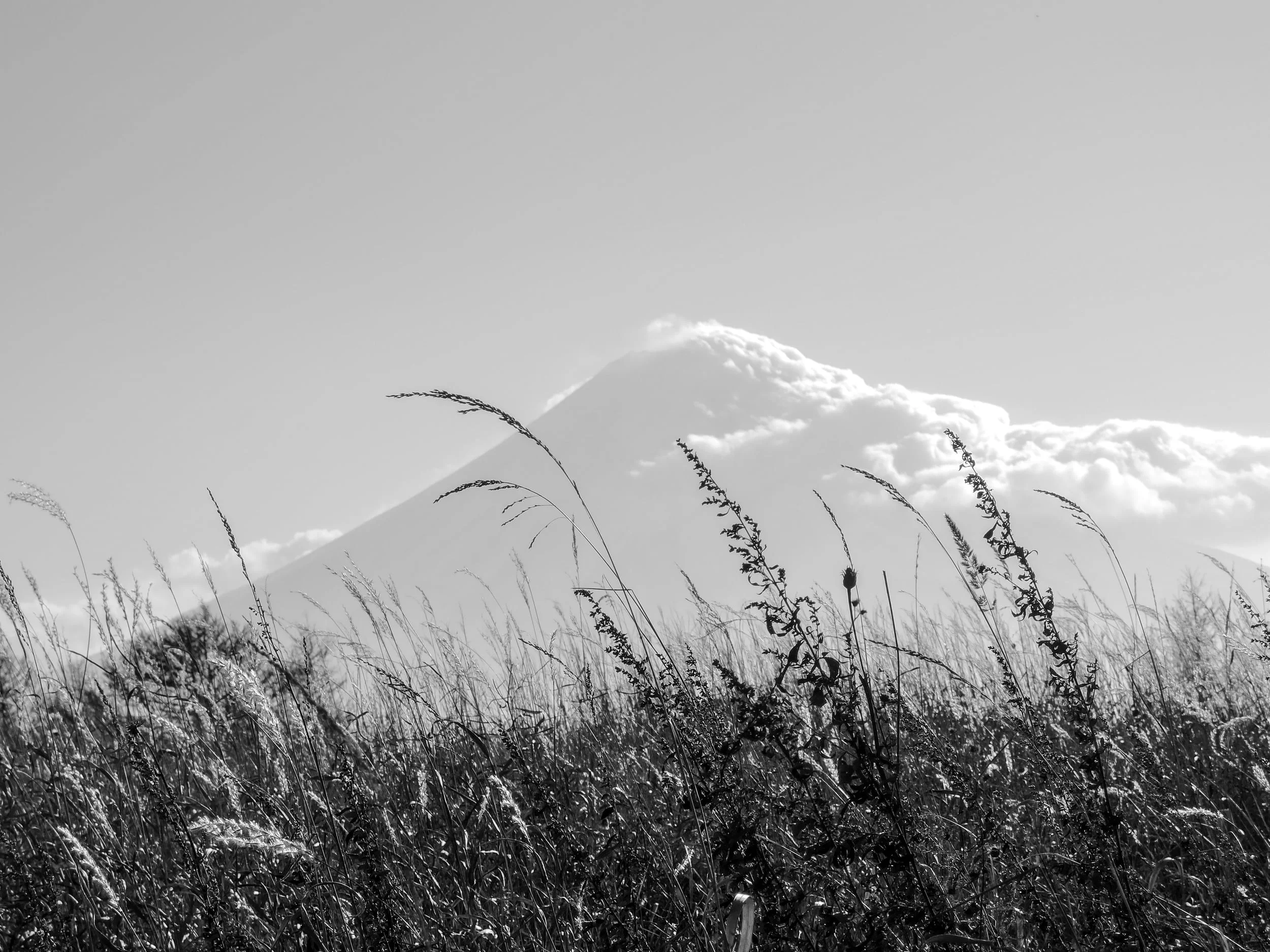 DSCN0148.jpg