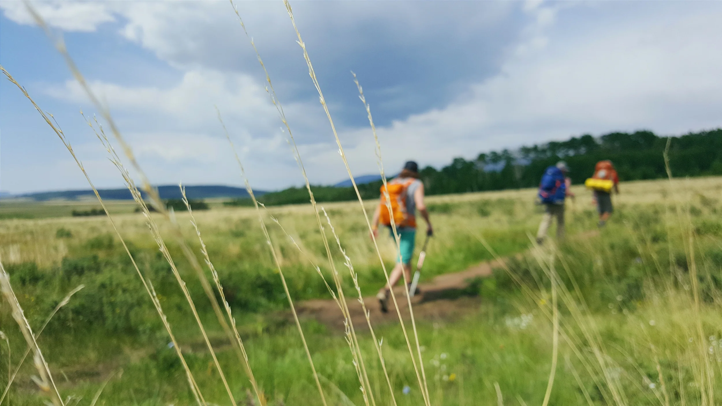 2016-06-22 11.54.11 2.jpg