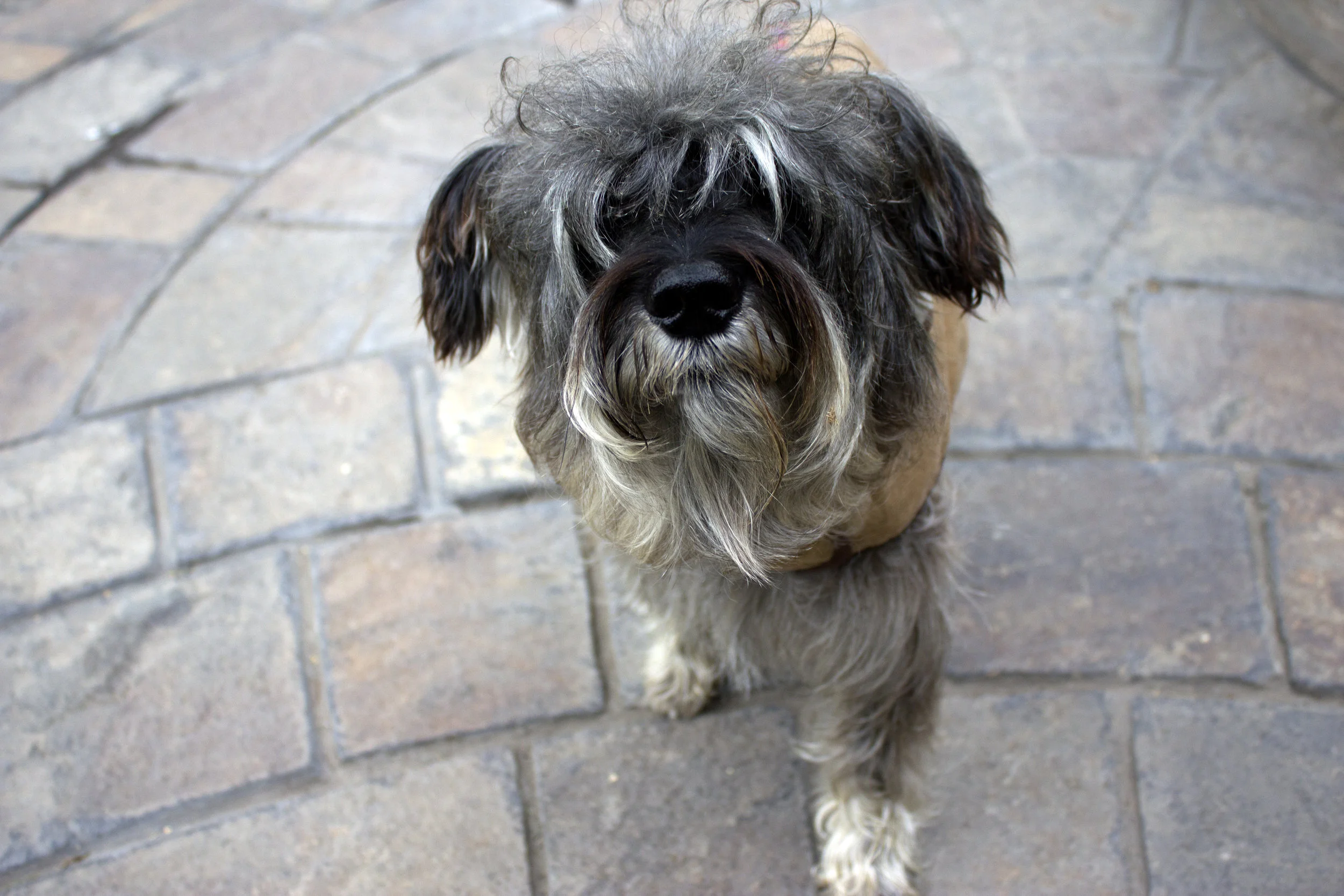 Ralph Headshot.jpg