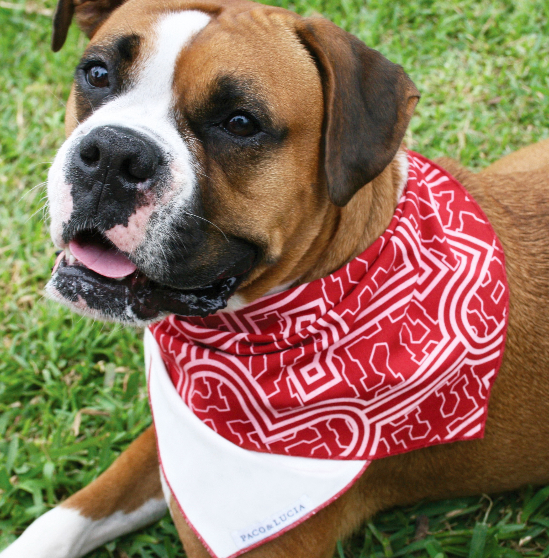 Wayra Bandana Roja Square.jpg