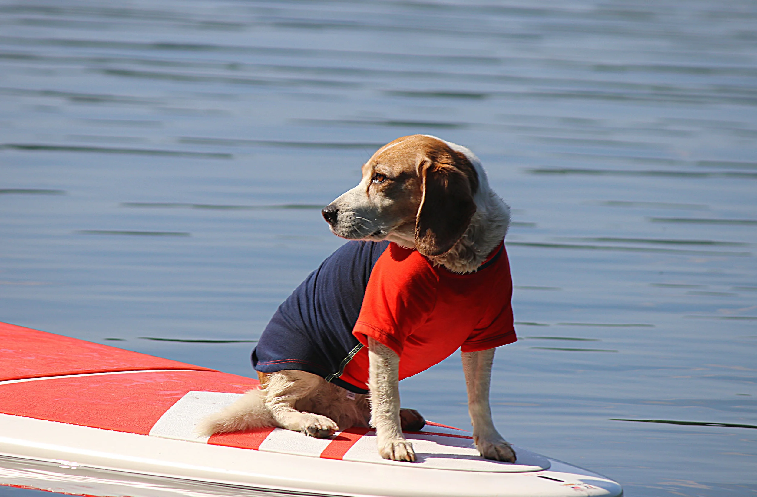 Bailey Paddle.jpg