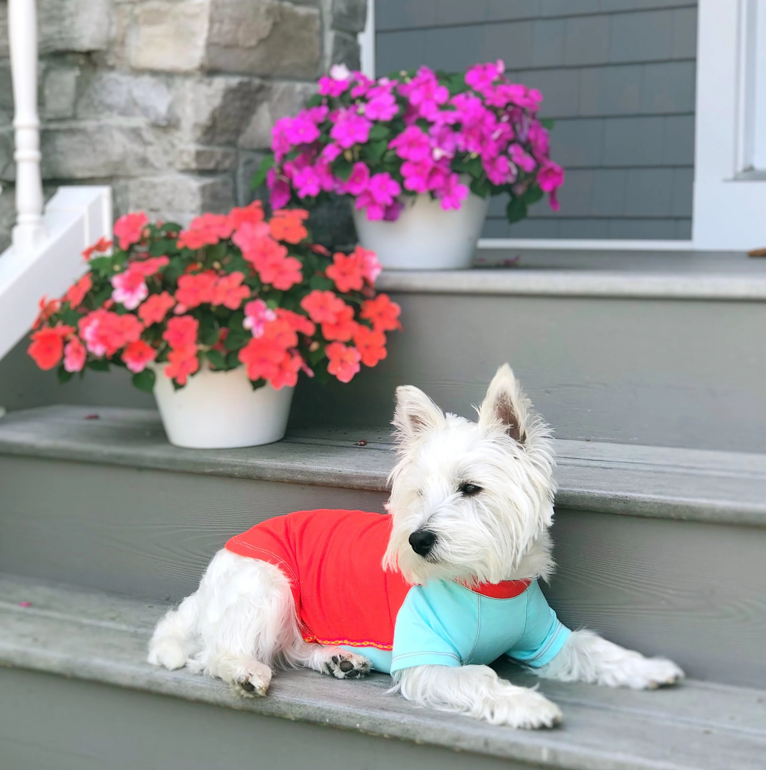 Murph Flowers Out and About.jpg