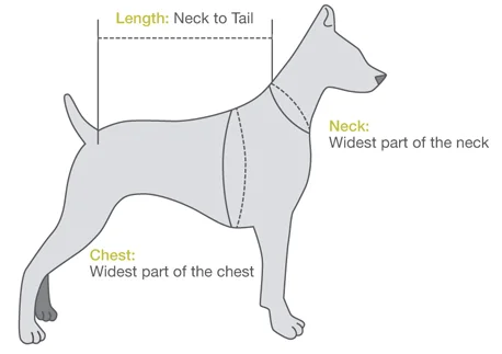 Size Chart_Dog_R2.jpg