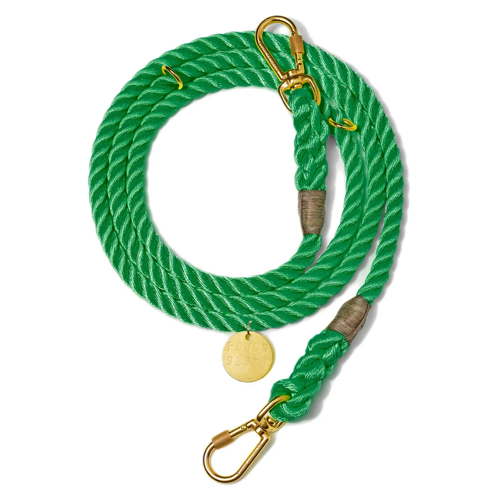 Nylon-dog-leash-Bright-green_leash.jpg