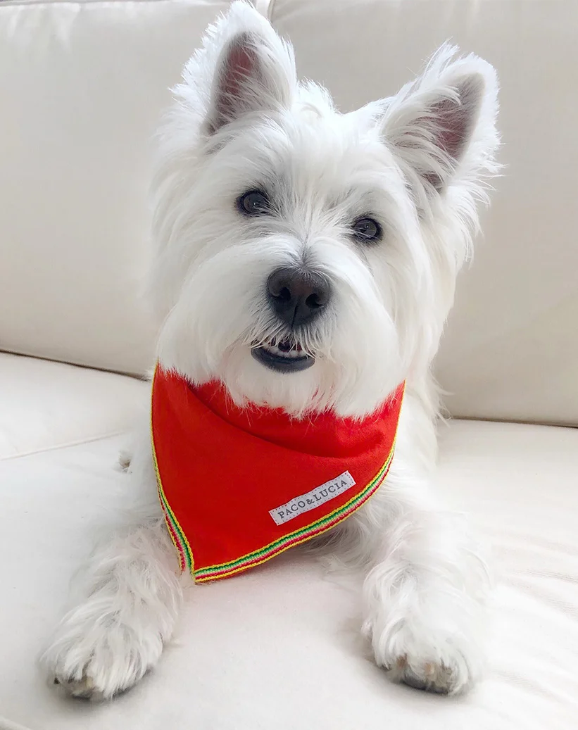 Murphy_Red Bandana_Product.jpg
