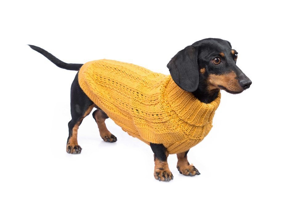 bohemian-knit-mustard-alqo-wasi-02.jpg