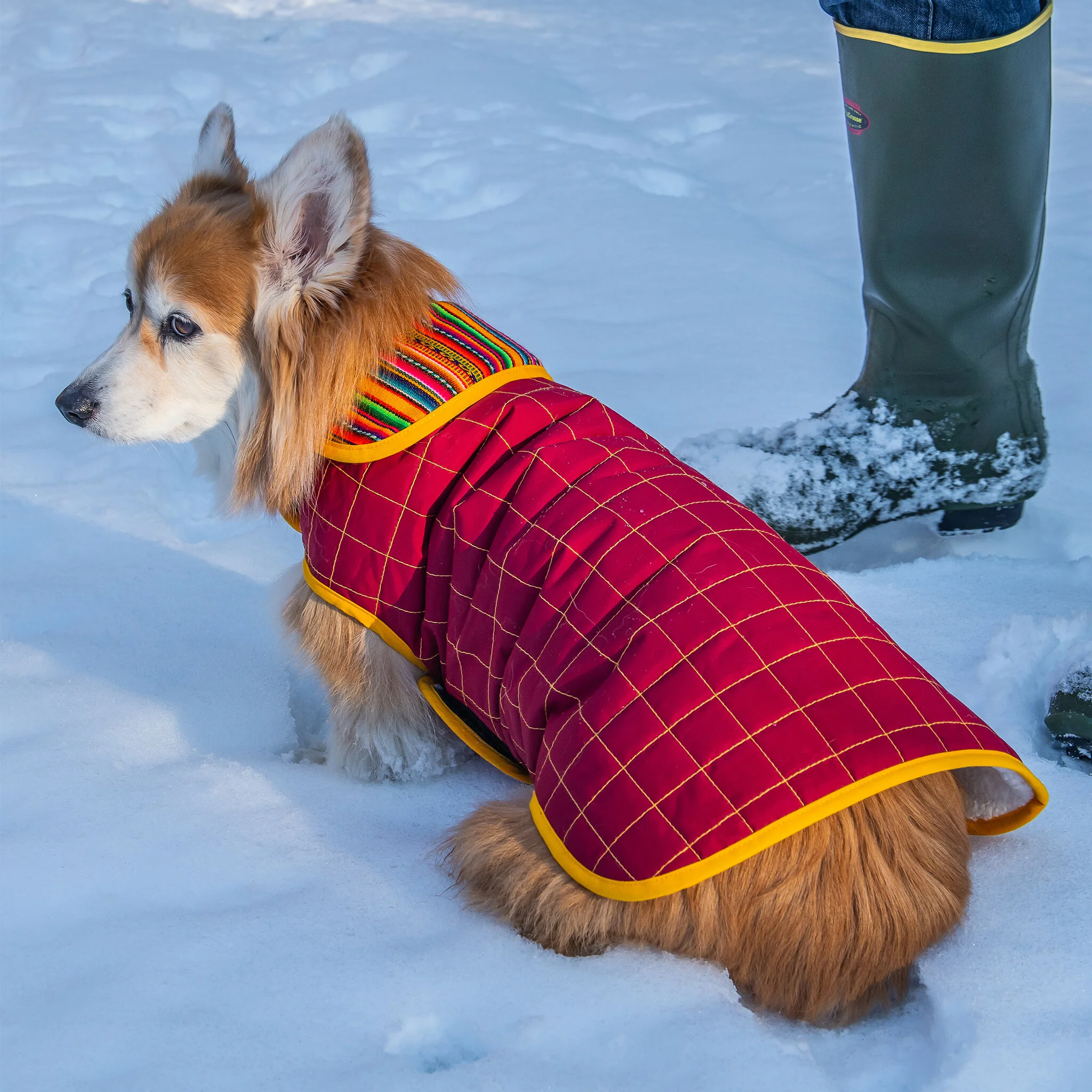 Raymy Blue Snow.jpg