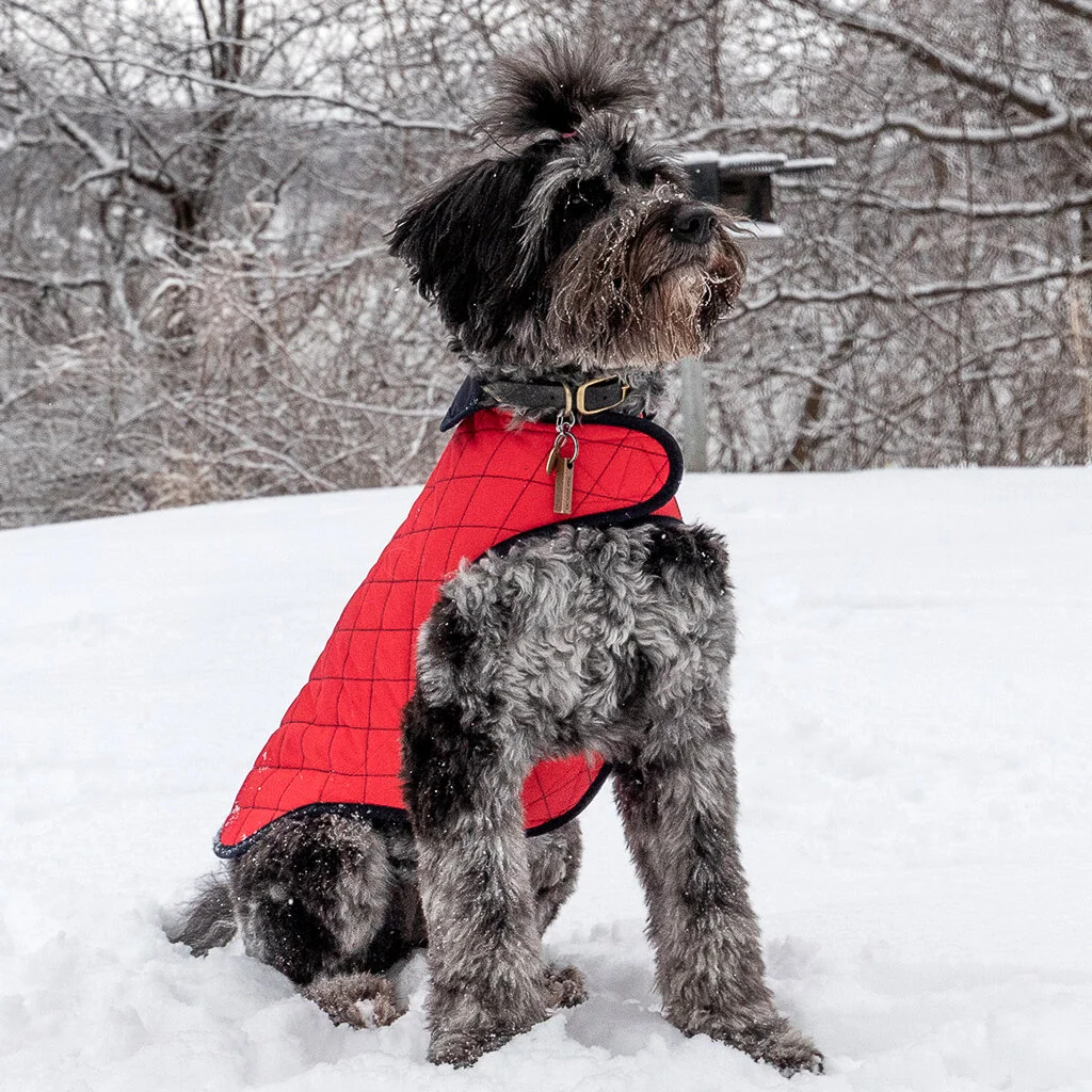 dog-waterproof-coat-red-warm-paco-and-lucia.jpg