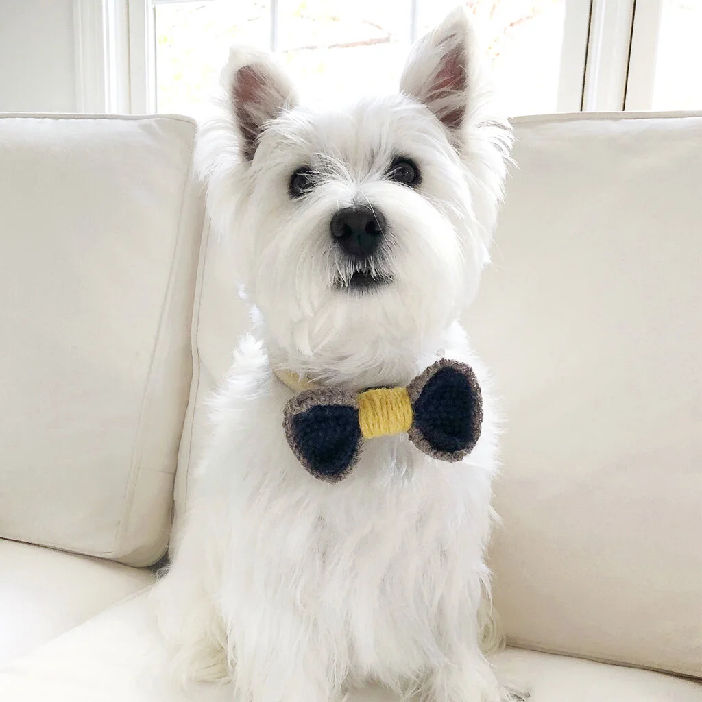 westie bow tie