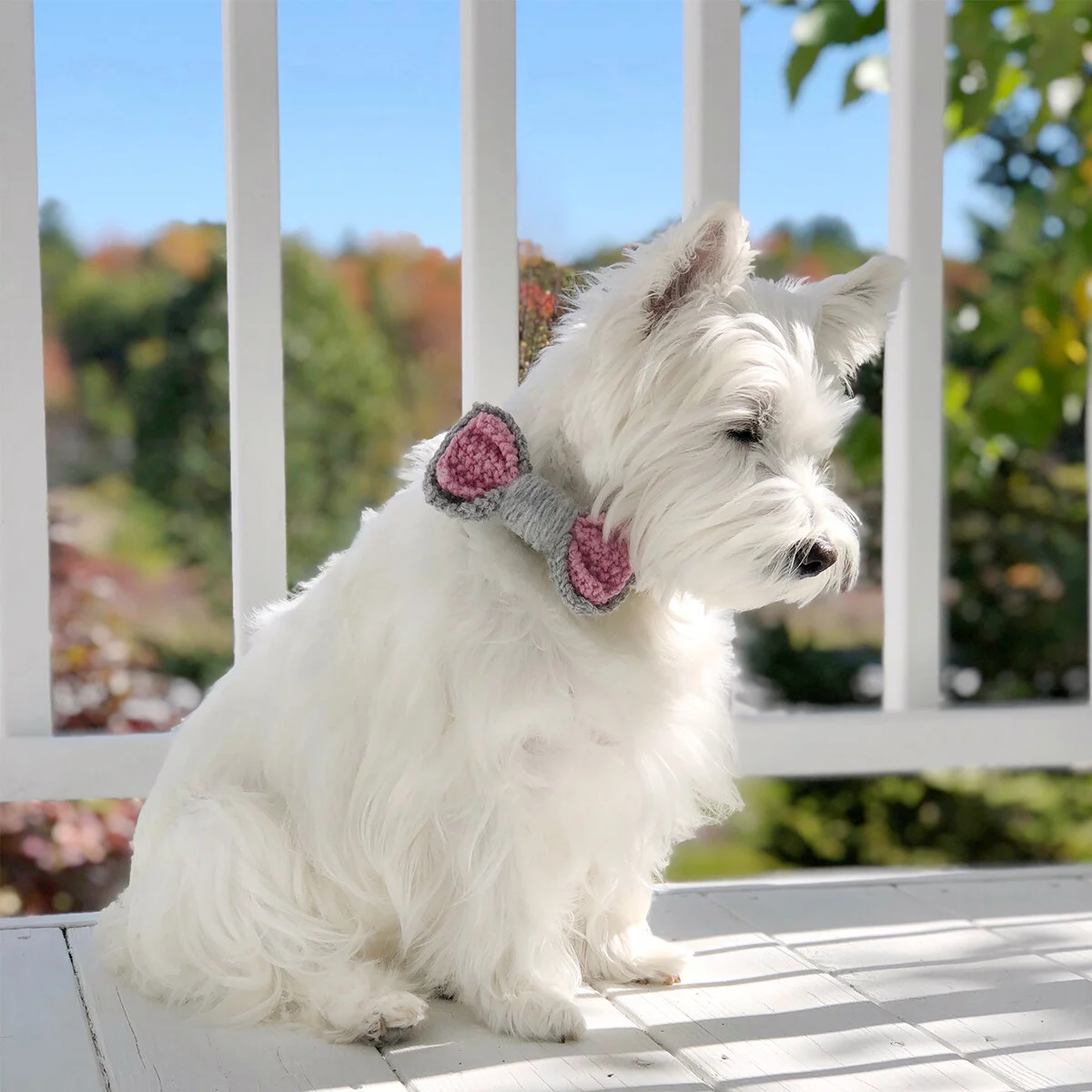 westie bow tie
