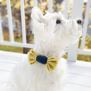 Bow Ties – Lucy Lou's Designs