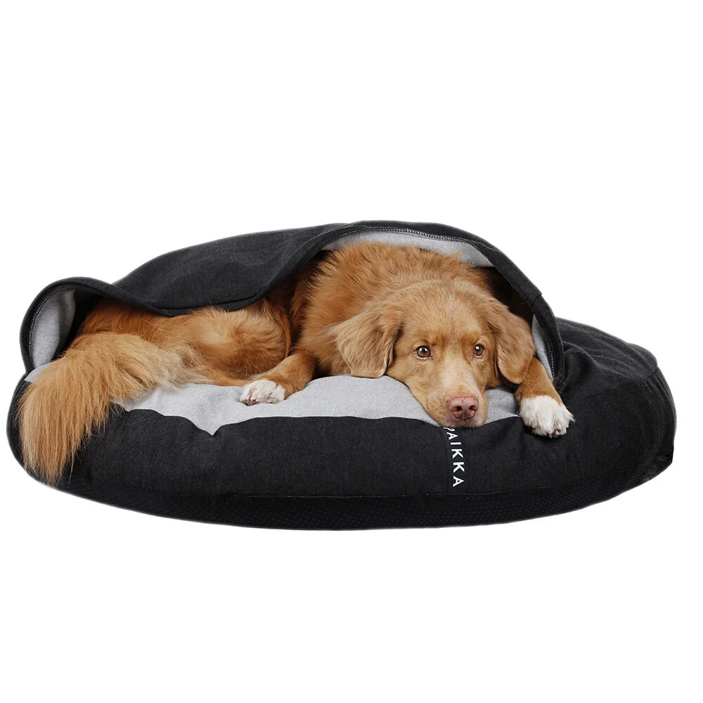 hund dog beds