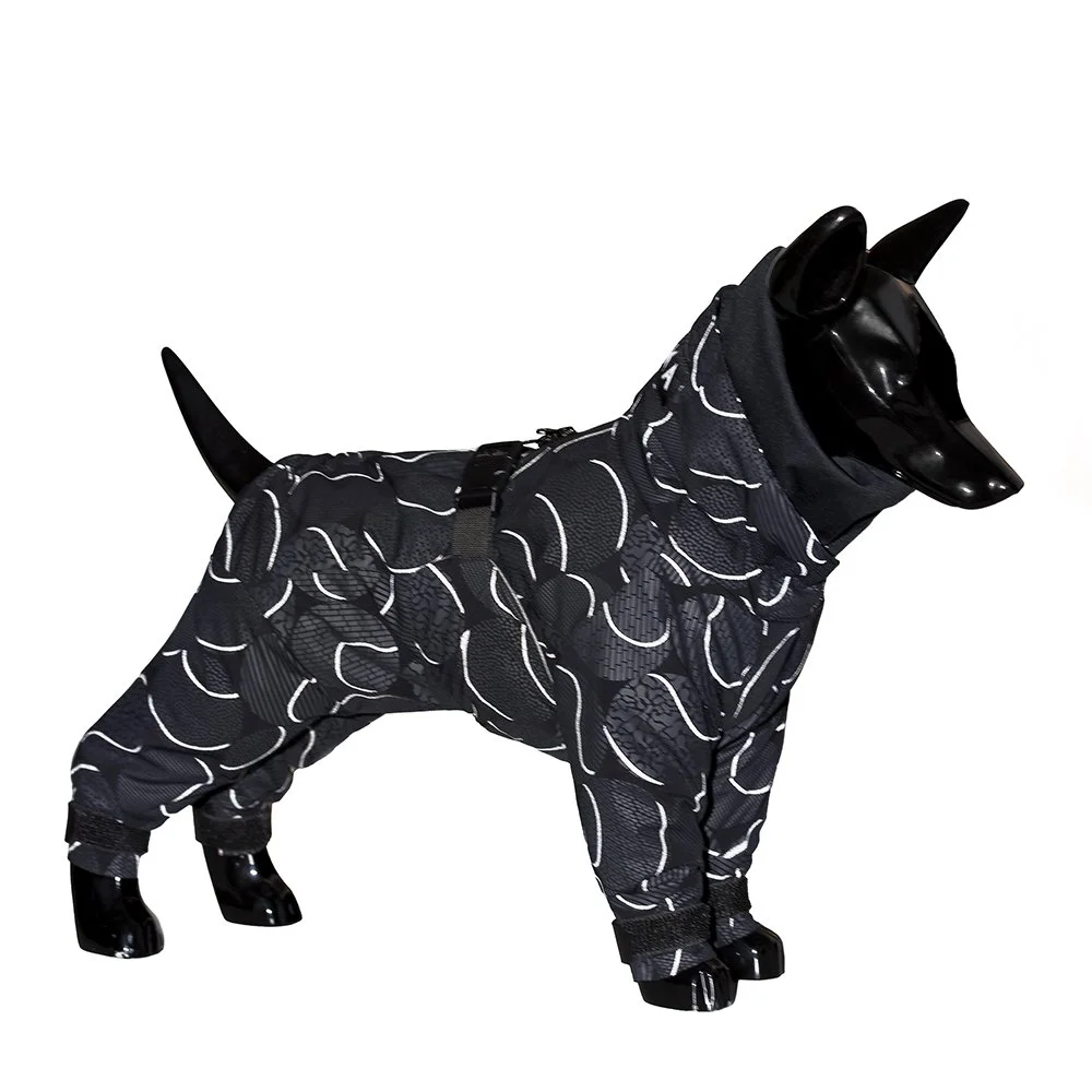 reflective-winter-dog-suit-paikka-paco-and-lucia.jpg