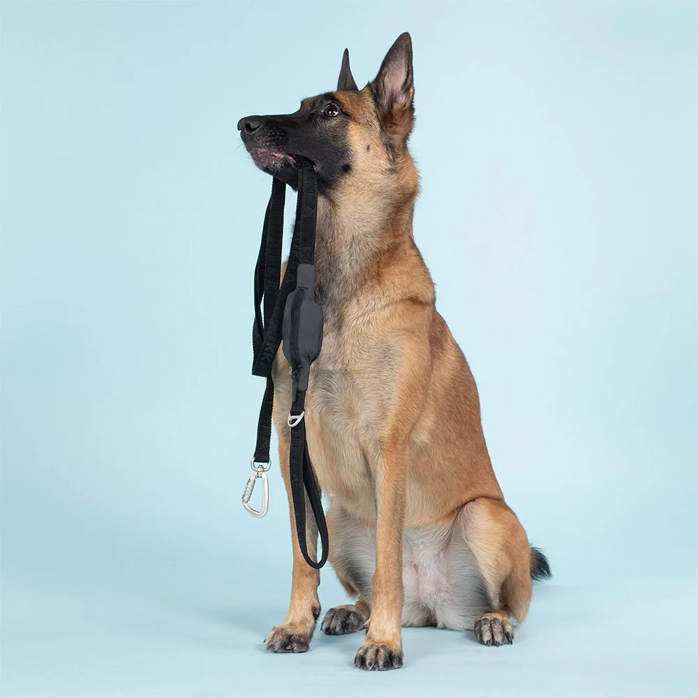 Gustamucho 6FT Dog Leash With Treat Pouch - Reflective, Padded Handle, Chew-Proof For Large & Small Dogs