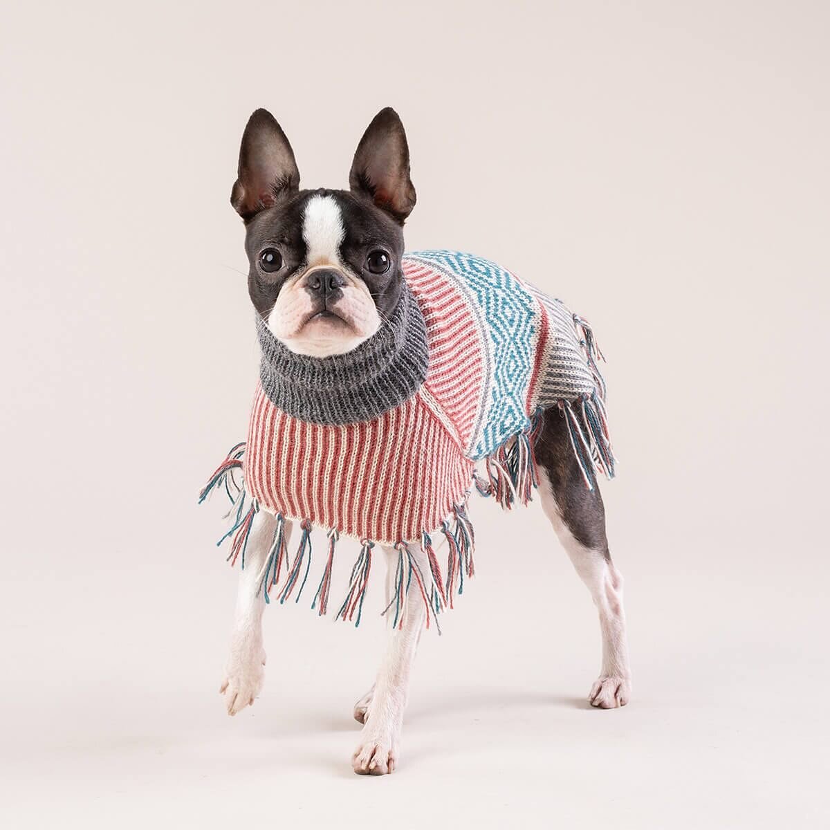 Your dog will stop traffic in the stunning Muted Strings poncho by&nbsp;#alqowasi . Made of&nbsp;#alpacawool&nbsp;it&rsquo;s ridiculously soft and cozy 🖤 Only a few left in stock! #dontwait 📷 by&nbsp;@alqo_wasi ⠀⠀⠀⠀⠀⠀⠀⠀⠀⠀⠀⠀ ⠀⠀⠀⠀⠀⠀⠀⠀⠀⠀⠀⠀ ⠀⠀⠀⠀⠀⠀⠀⠀⠀⠀⠀