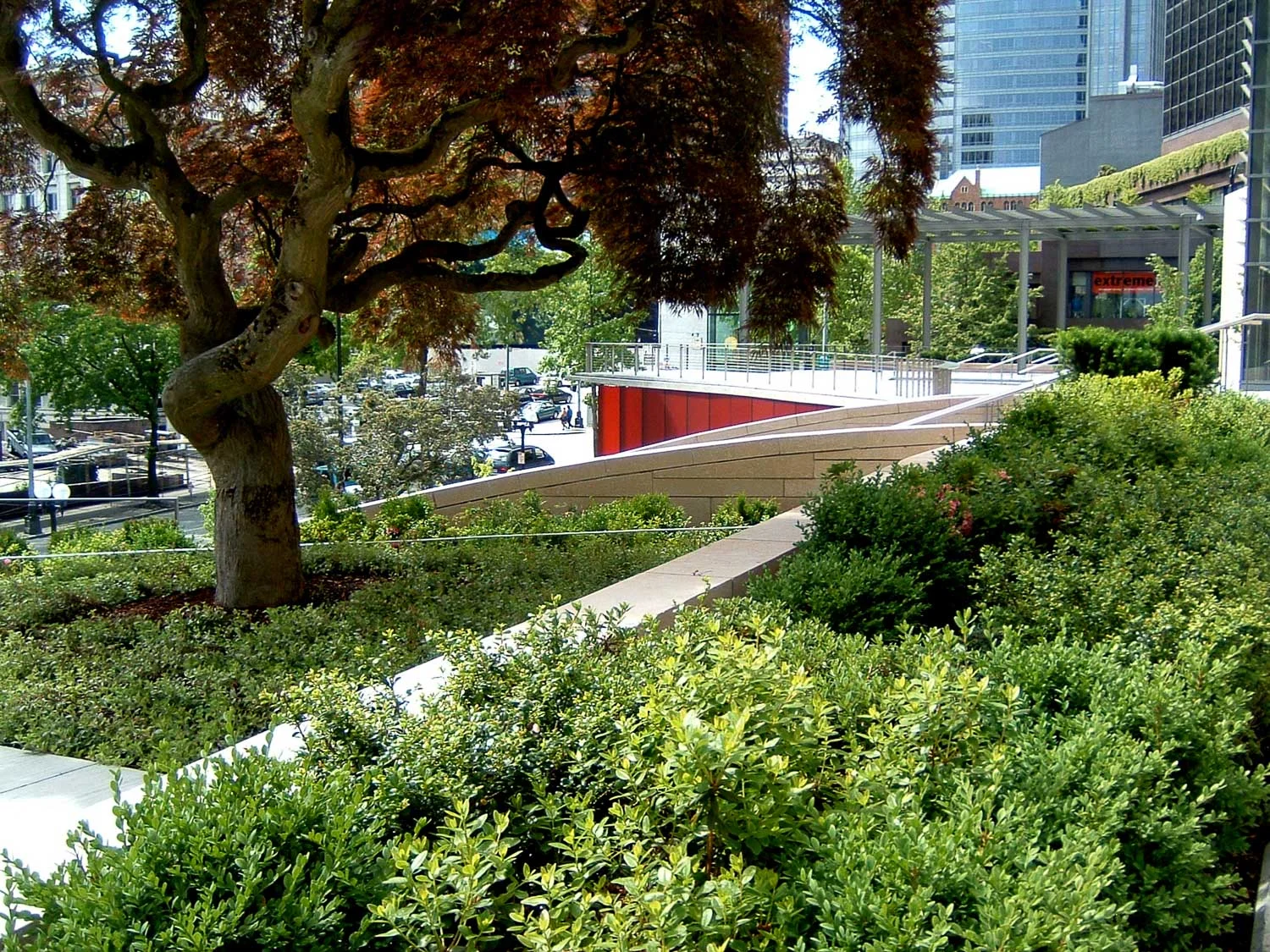 GGN Seattle City Hall terrace.jpg