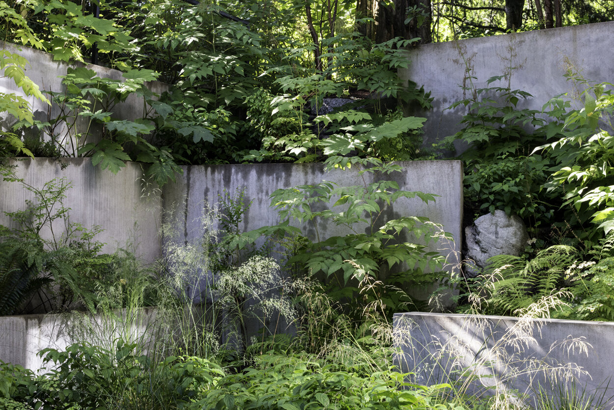 Seattle Residence: Native Gardens