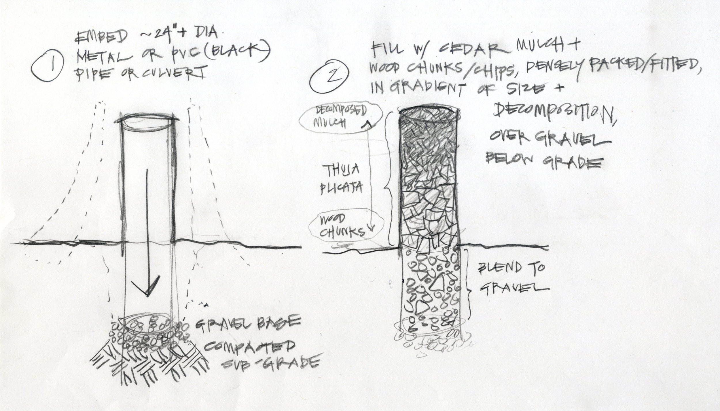 10_stumpery_sketch_high res.jpg