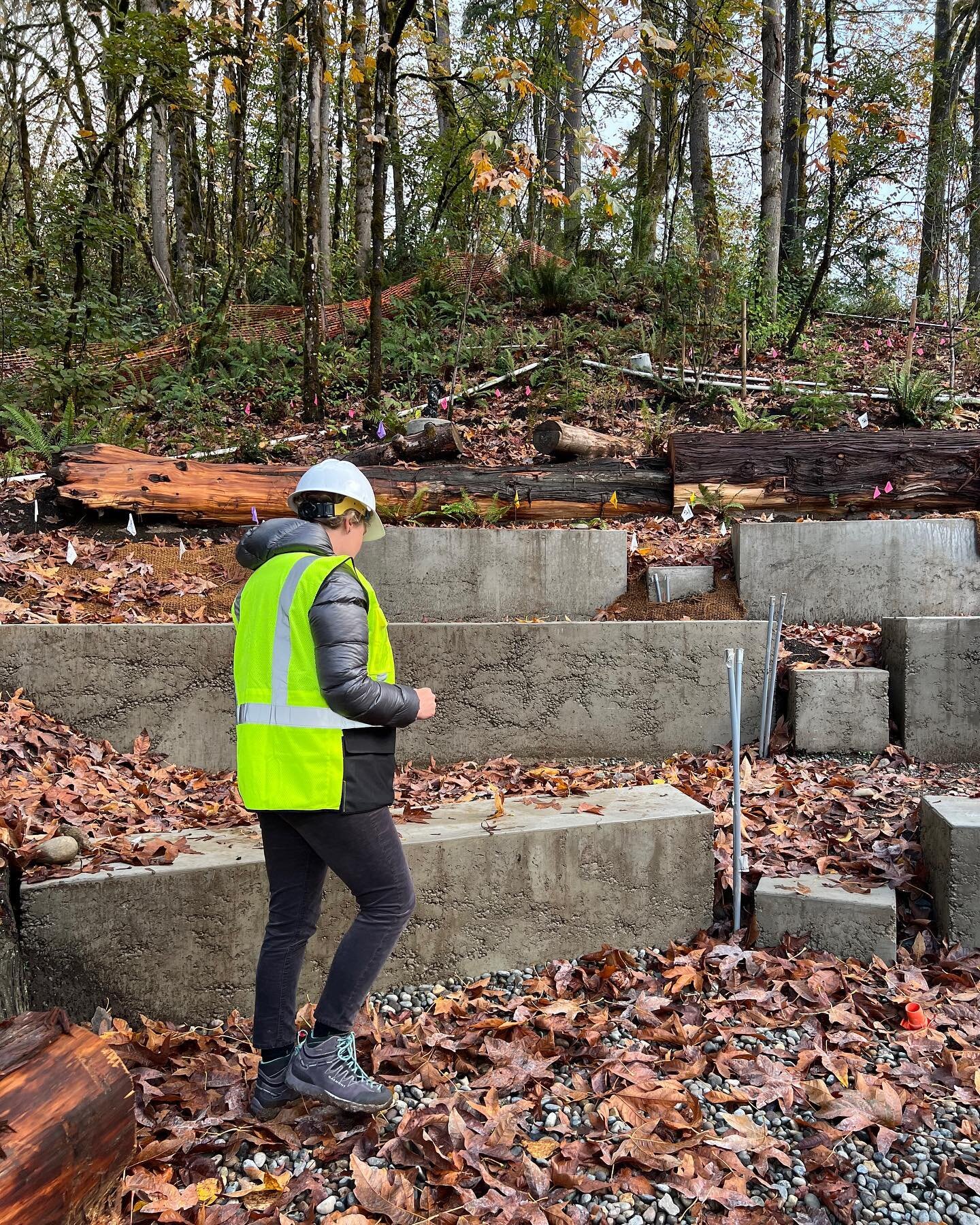 The cool shade of the Big Leaf Maple Amphitheater offers a place of lush respite for visitors and staff at a local research campus. Tucked into a forested hillside, the space is designed not as a formal or &ldquo;fancy&rdquo; space but as a found rel