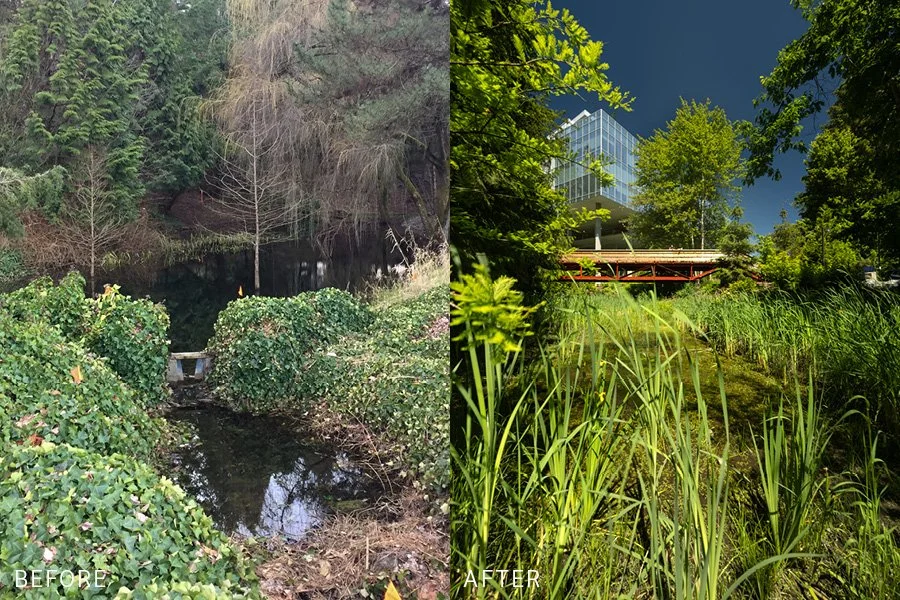 Image credits: GGN (left), Nic Lehoux (right)