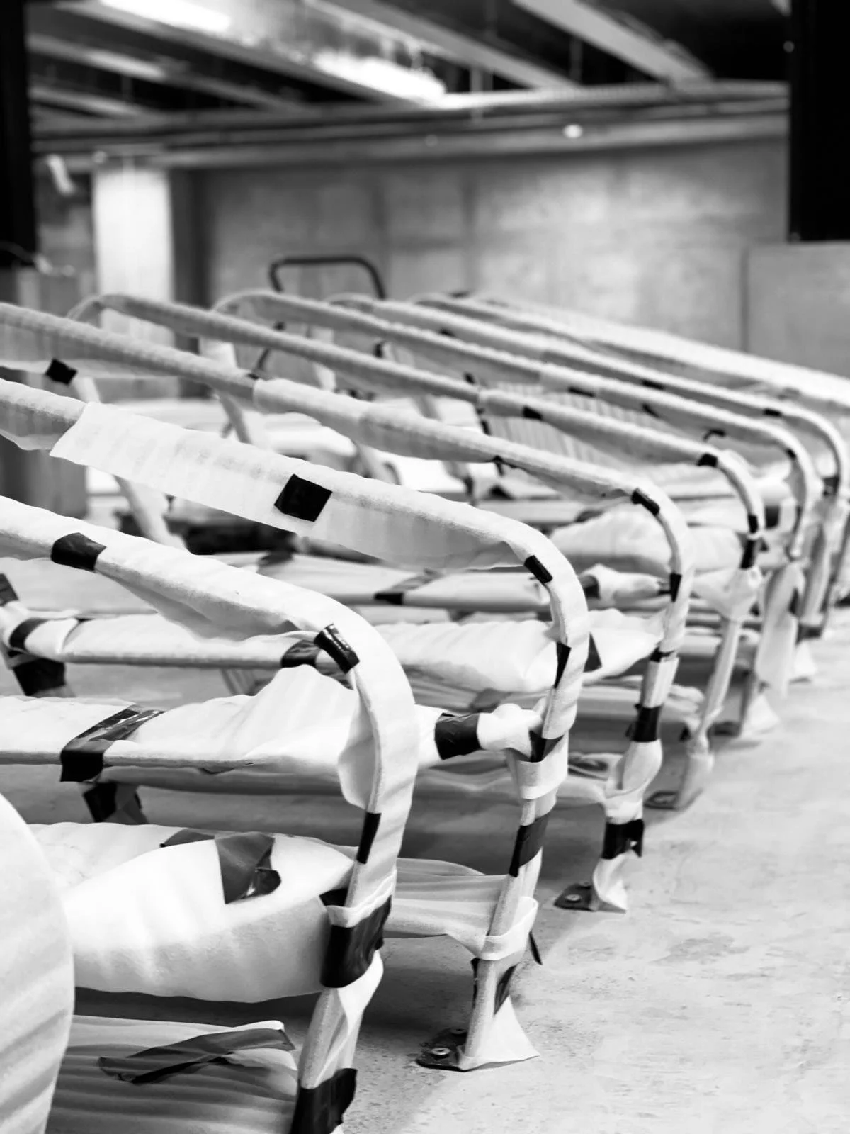 VELOHAWK | TOA RACK — Procreate New Zealand