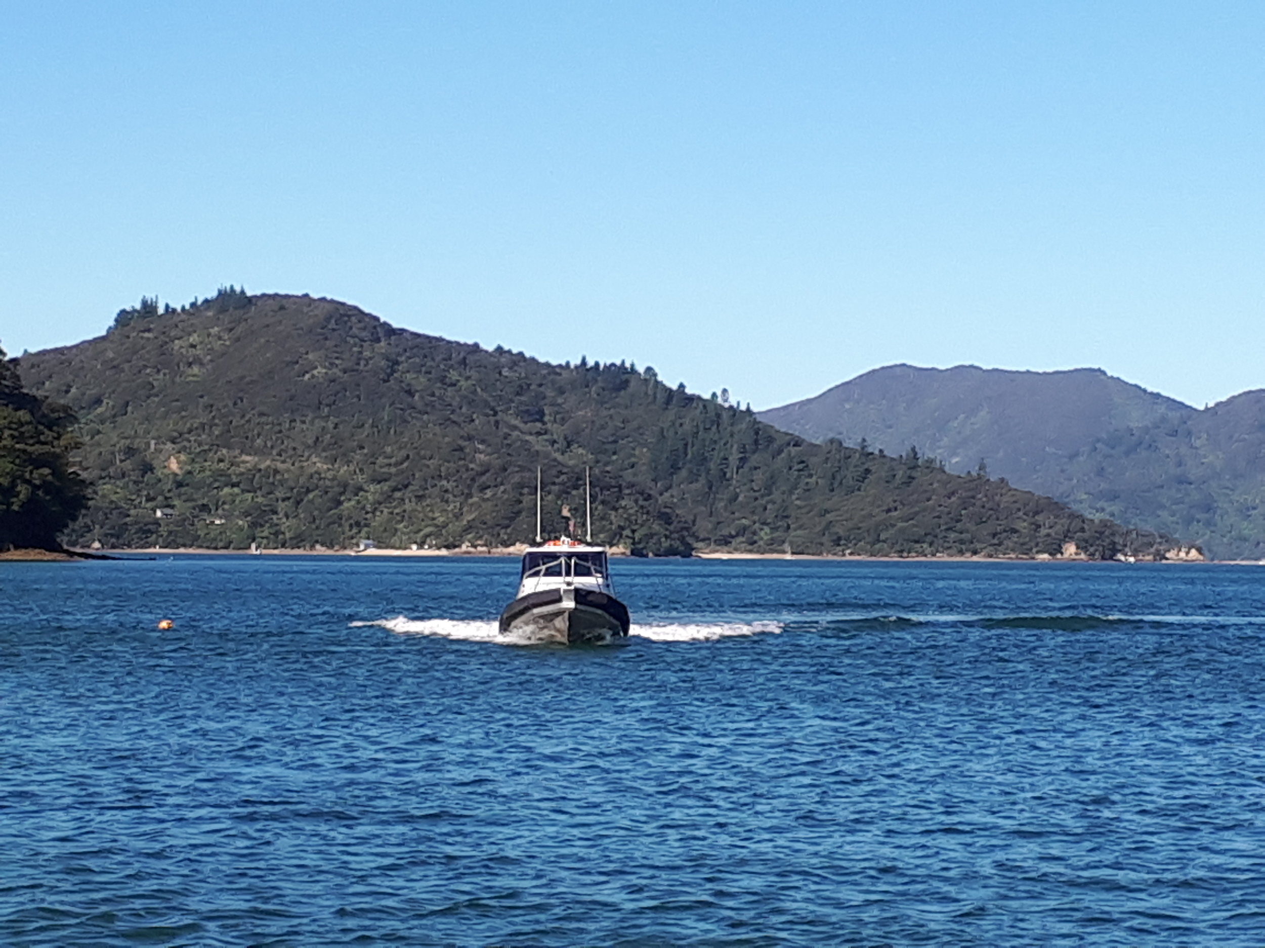 20180401_154026.jpg