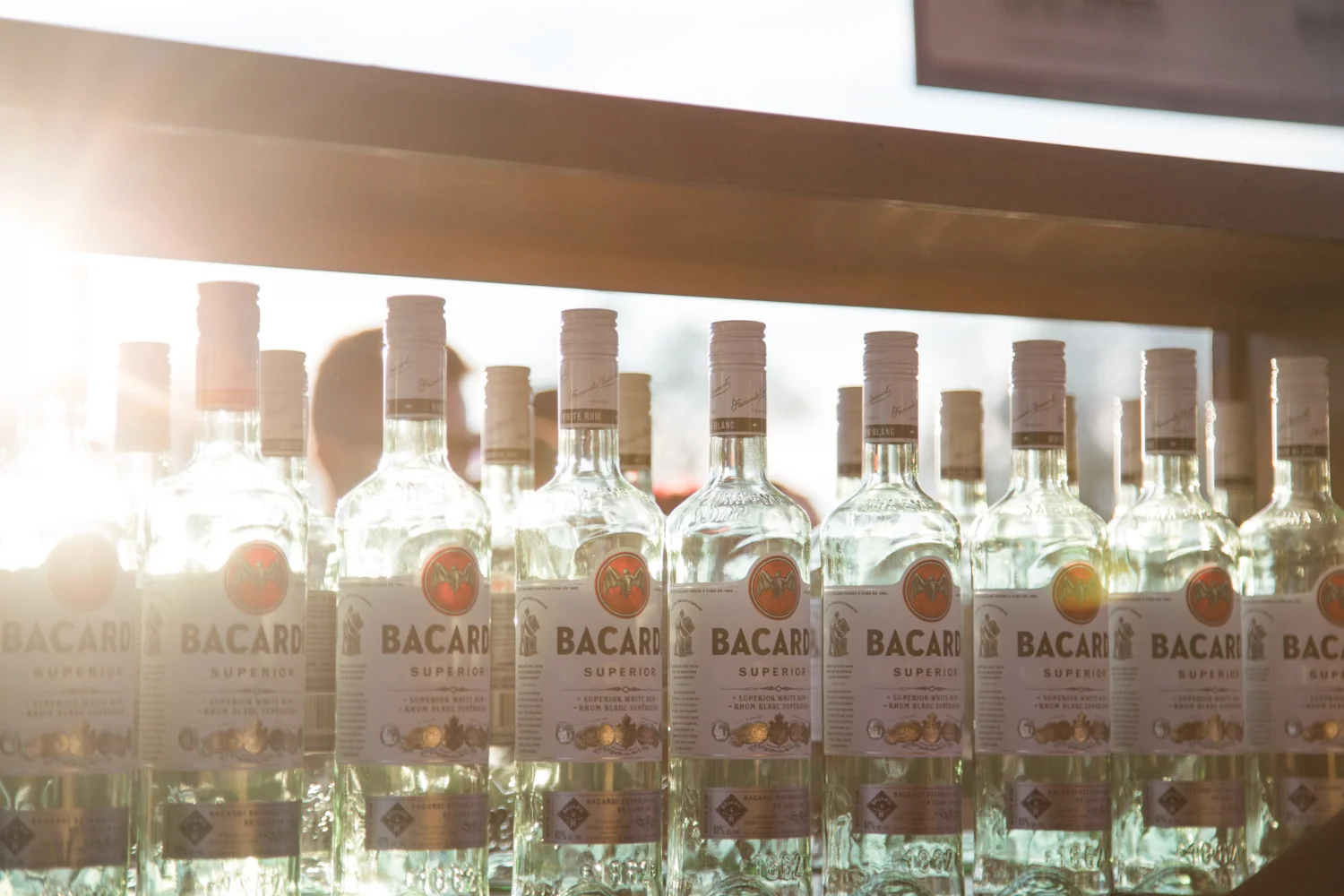 WH2017_BACARDI_Rick Clifford-16.jpg