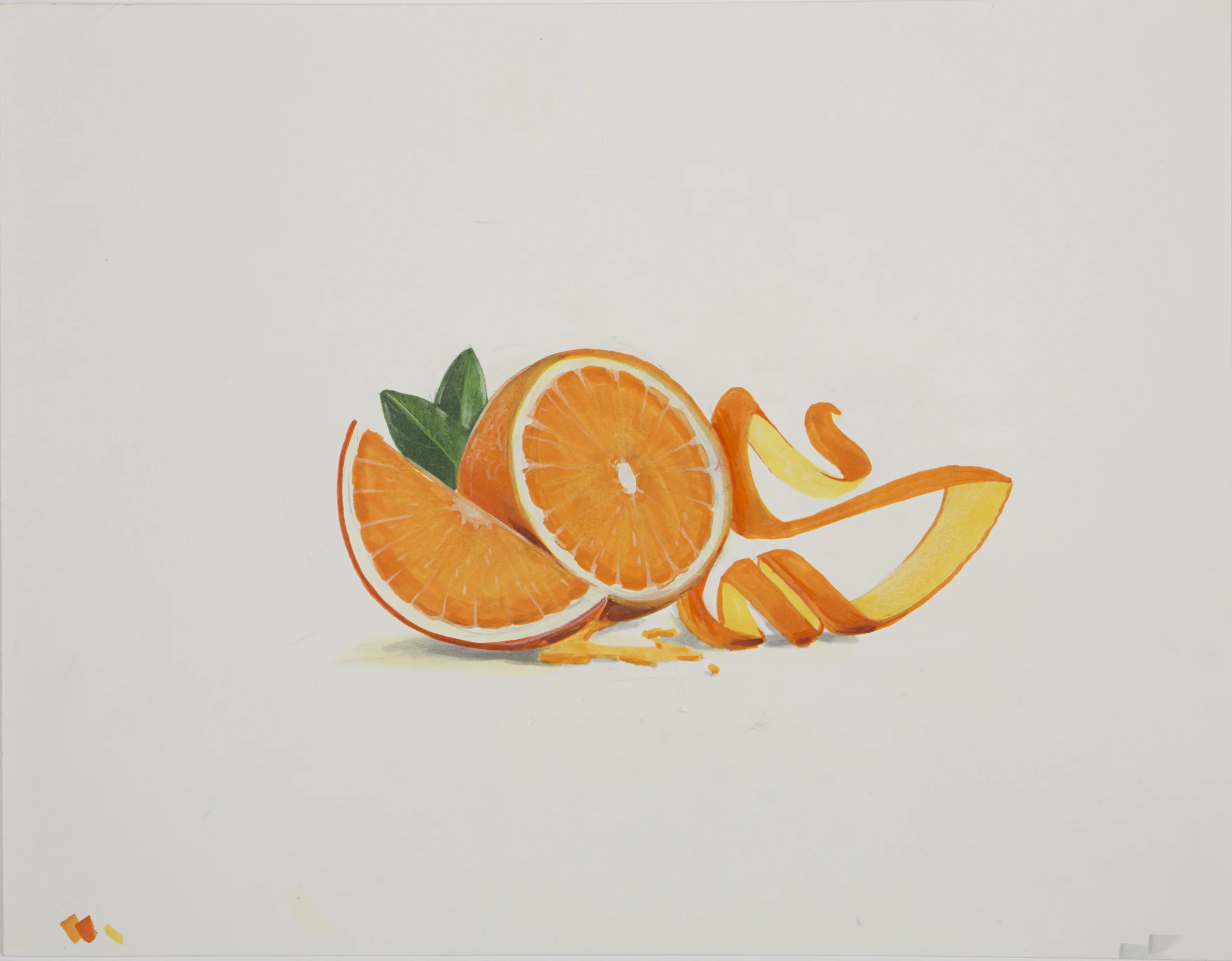 CES Vitamin C, 2013 Ink on Paper 11 x 14 inches