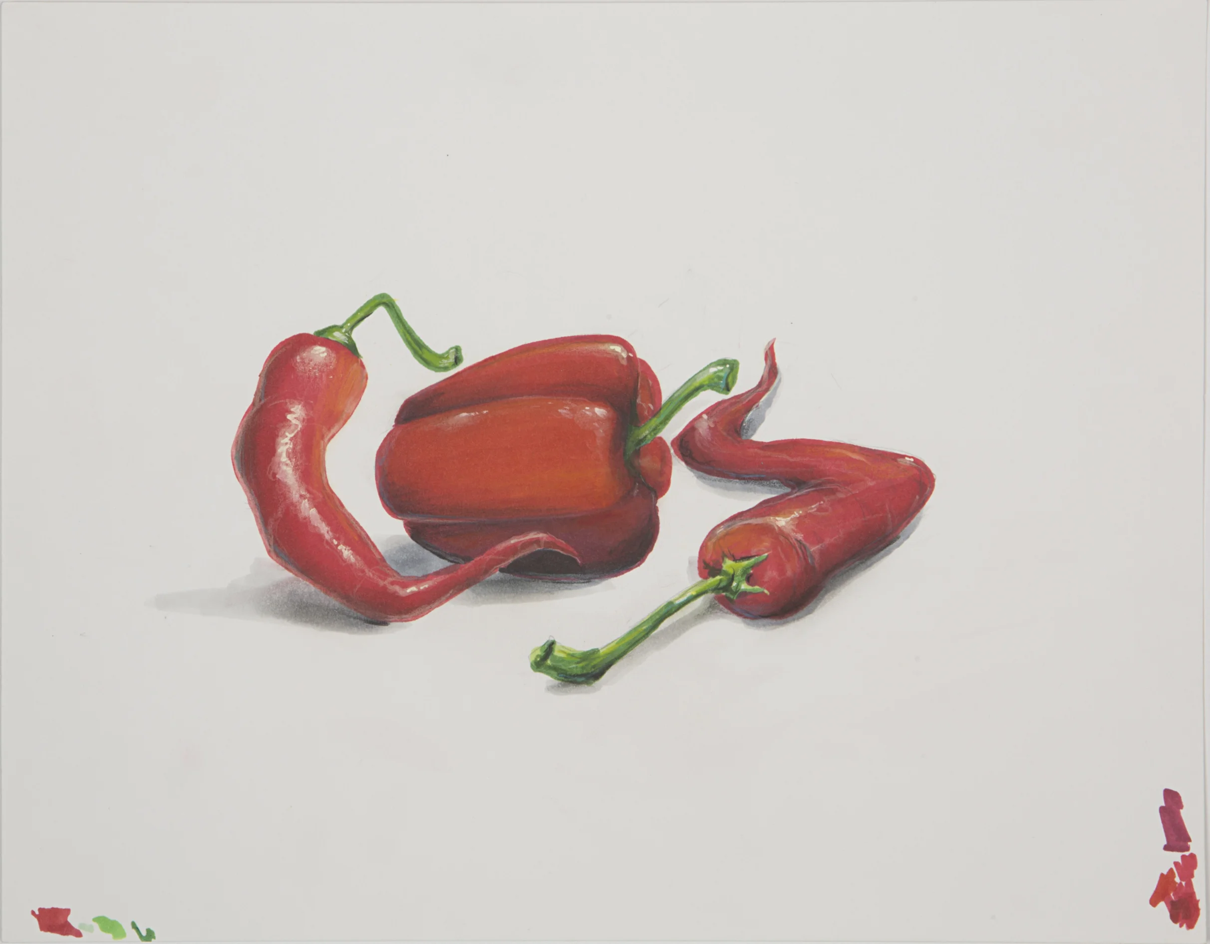 CES Hot Pepper, 2015 Ink on Paper 11 x 14 inches