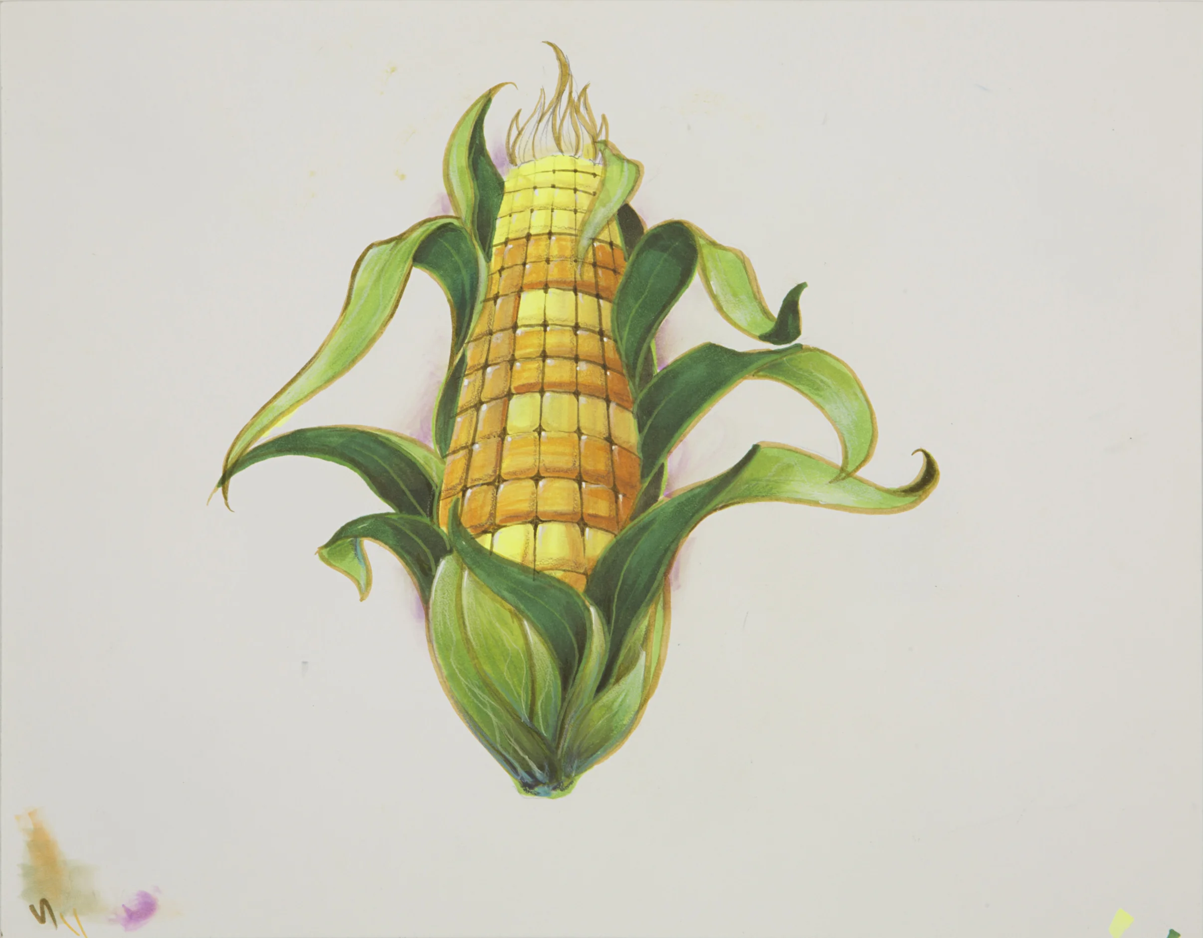 CES Corny, 2014 Ink on Paper 11 x 14 inches