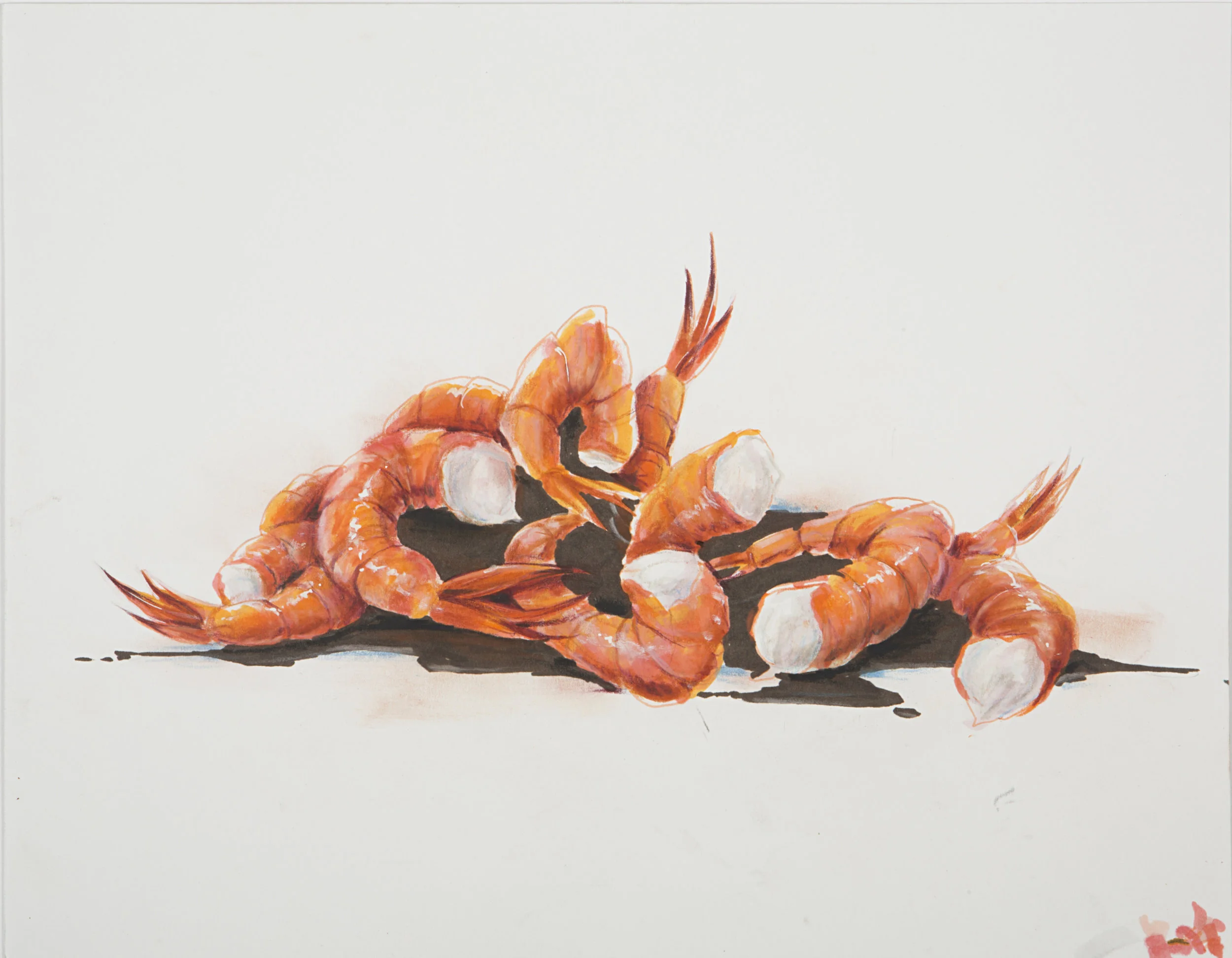 CES Shrimpin’ Ain’t Easy, 2015 Ink on paper 11 x 14 inches