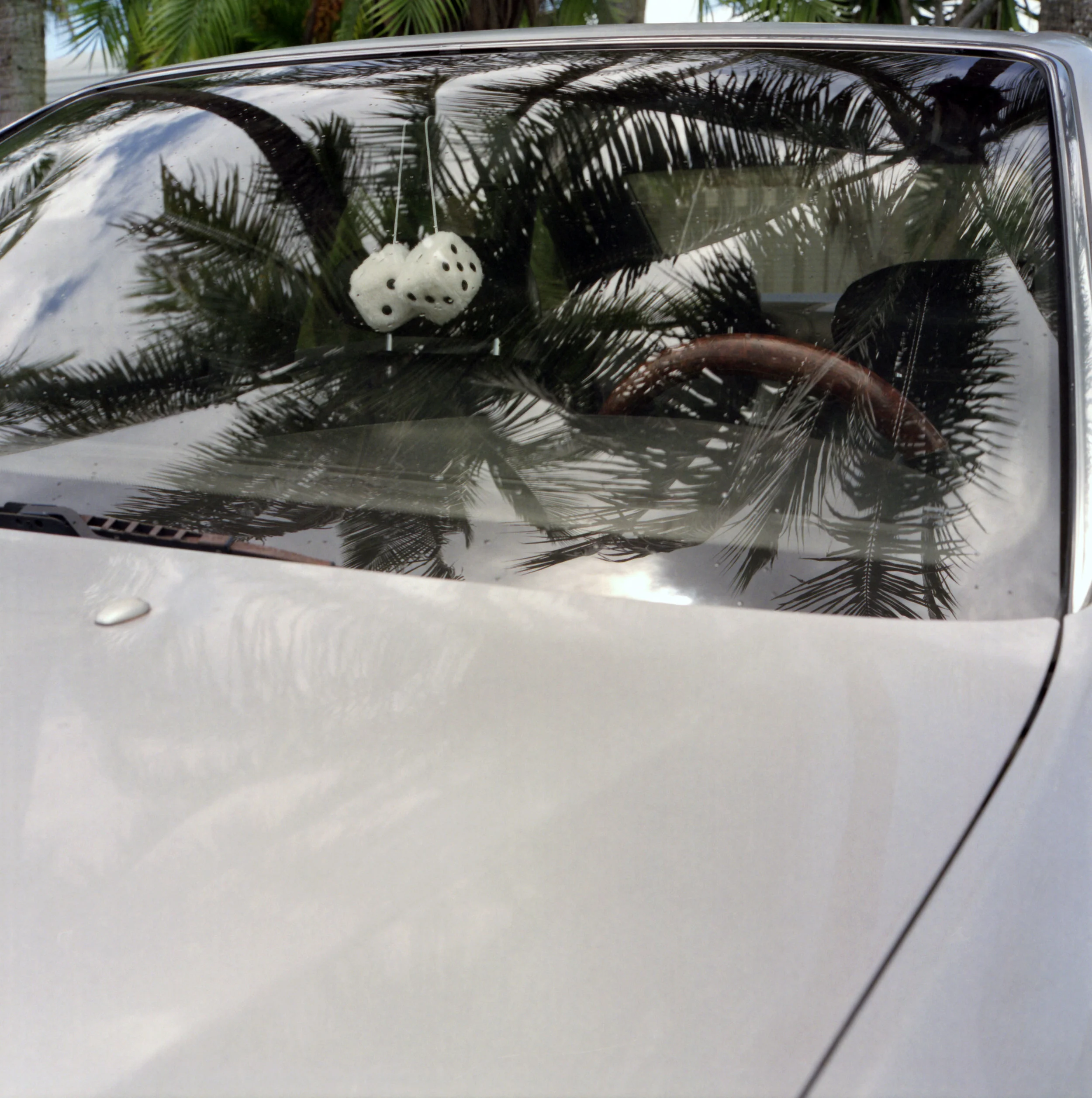 Benny Safdie Miami Dice, 2014 Digital C-Print, Edition of 5 28 x 28 inches