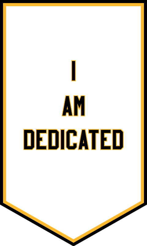 Cheryl Pope I AM DEDICATED from I'VE BEEN HEARD, in collaboration with NYC Youth on Streetball, 2017 Nylon and tackle twill applique, rod sleeve on back 60 x 36 inches