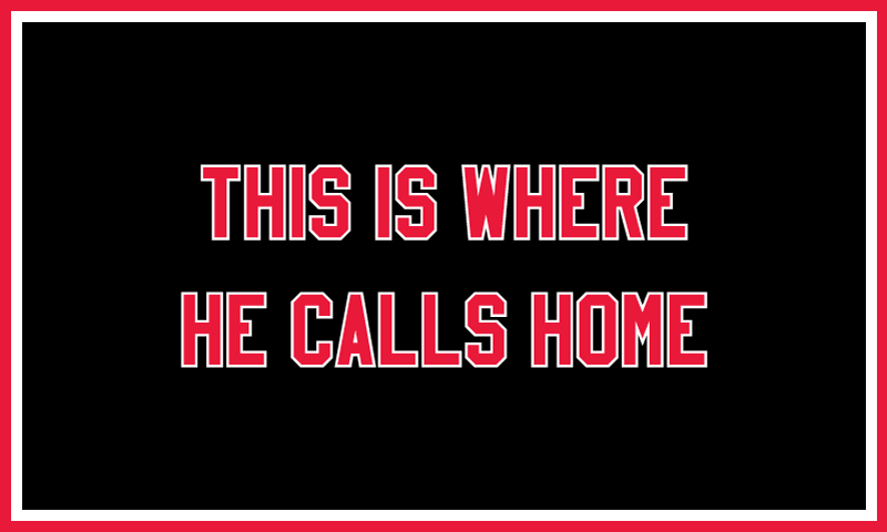 Cheryl Pope THIS IS WHERE HE CALLS HOME from I'VE BEEN HEARD, in collaboration with NYC Youth on Streetball, 2017 Nylon and tackle twill applique, rod sleeve on back 36 x 60 inches