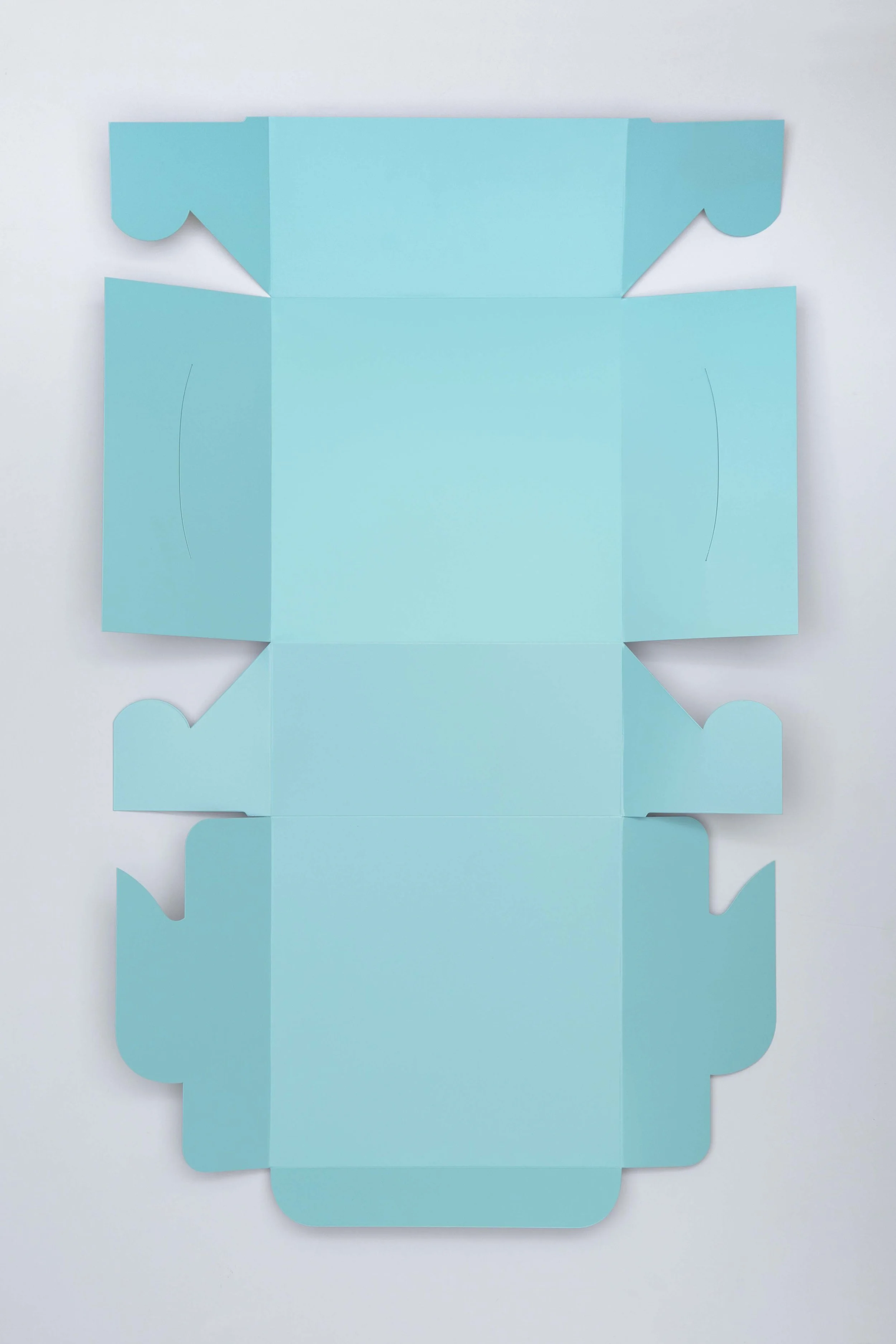 Sylvan Lionni Totem, 2017 Urethane on Steel 32 x 20 inches