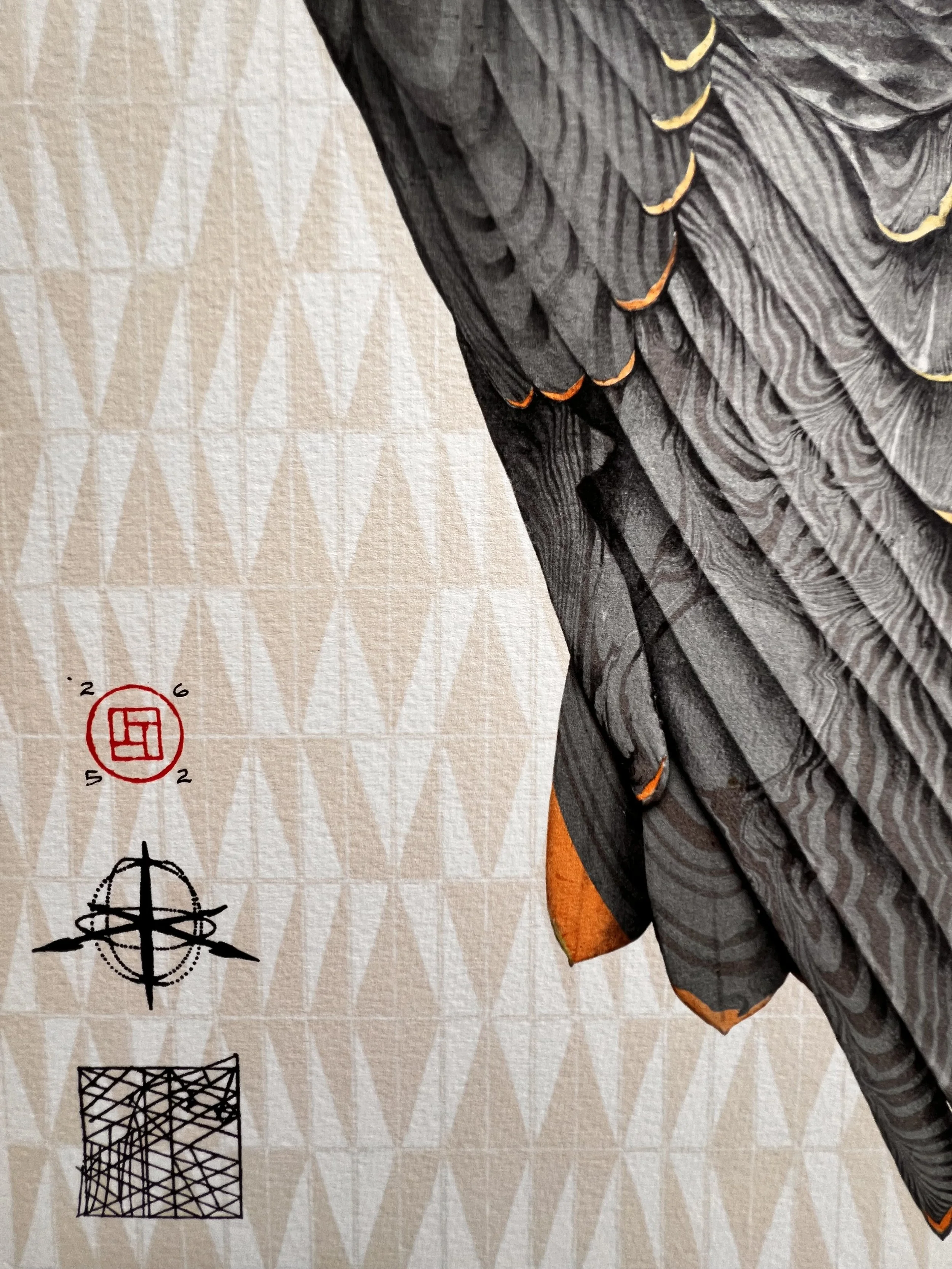 Peregrine