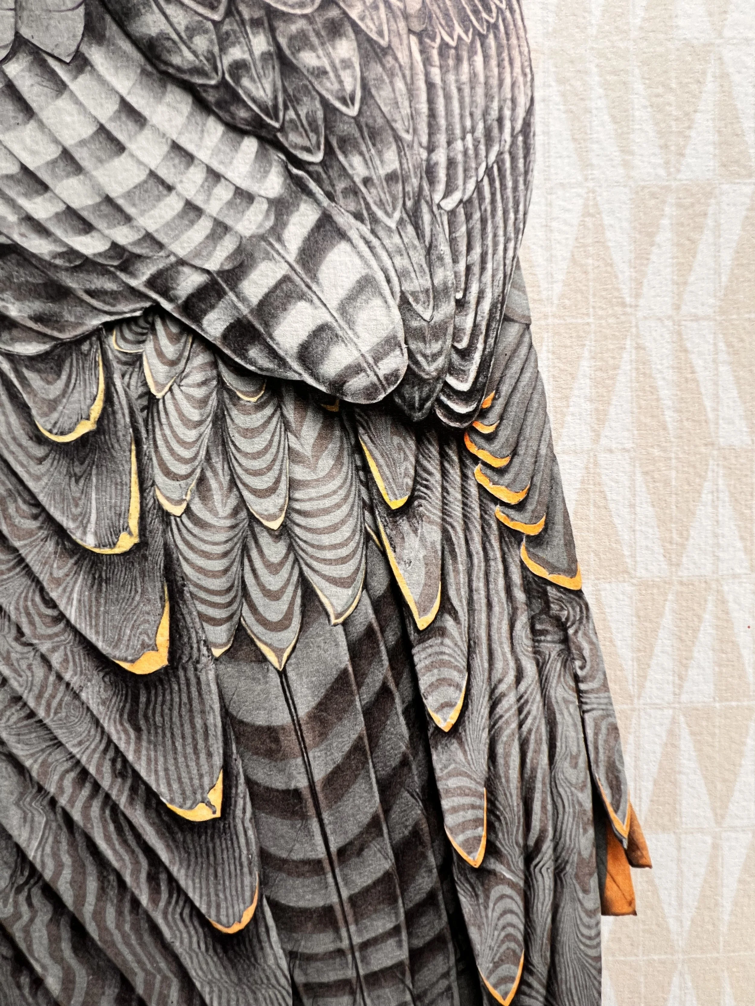 Peregrine