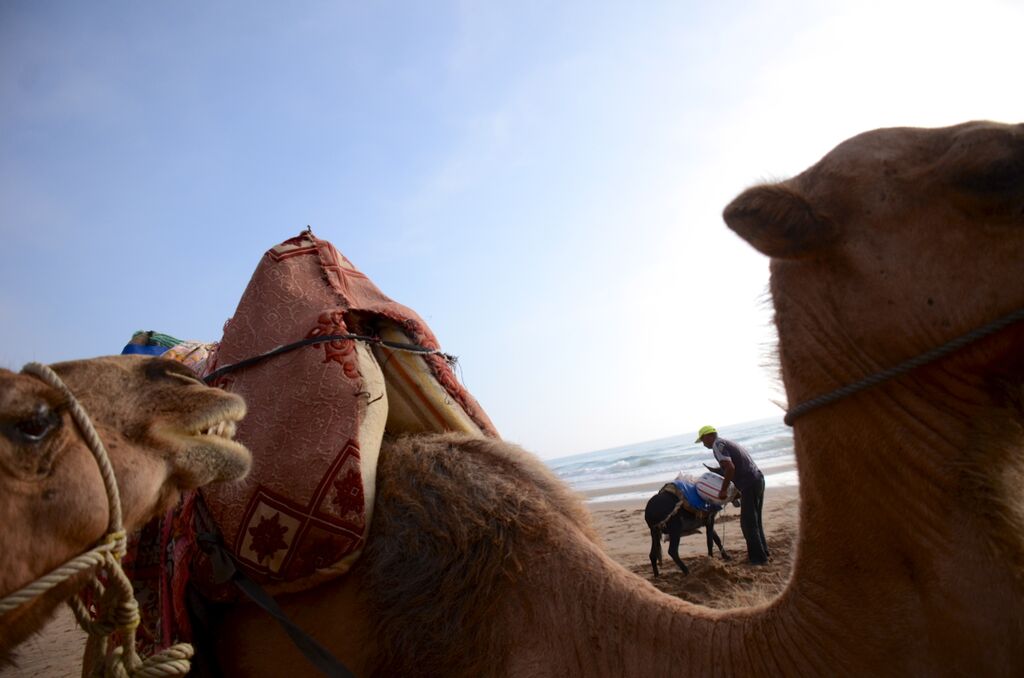 Morocco Join us on an adventure to Imperial Cities and Majestic Sand Dunes… ▶ Watch Highlights
