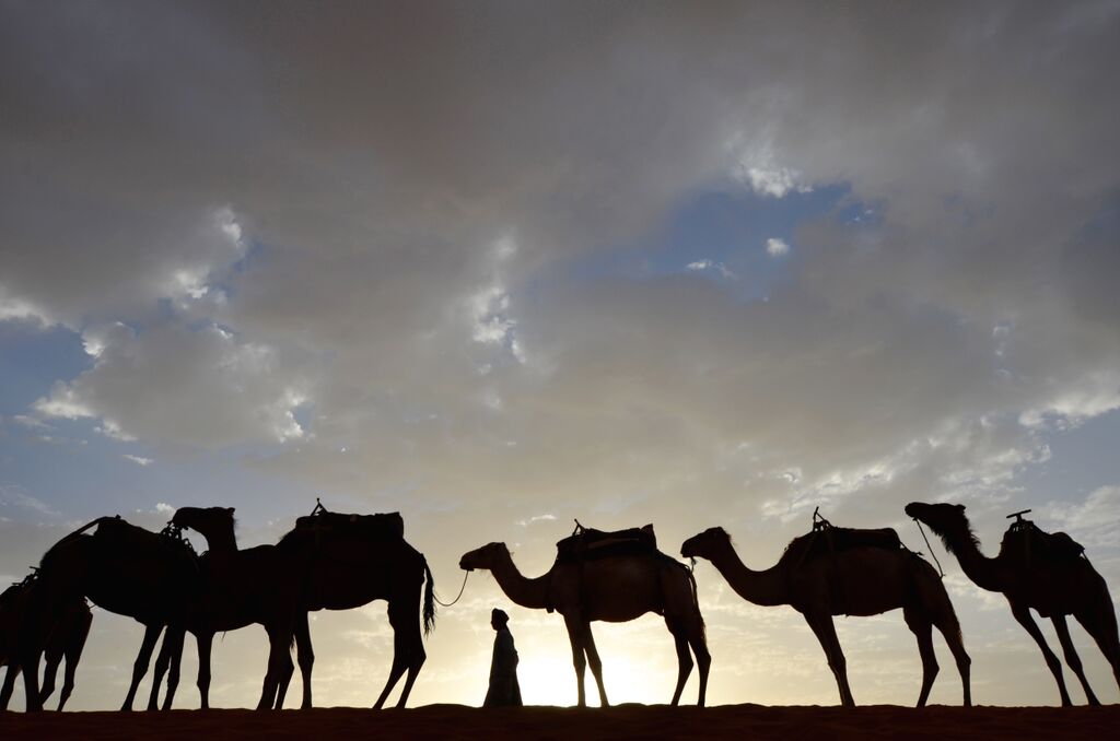 Morocco Join us on an adventure to Imperial Cities and Majestic Sand Dunes… ▶ Watch Highlights
