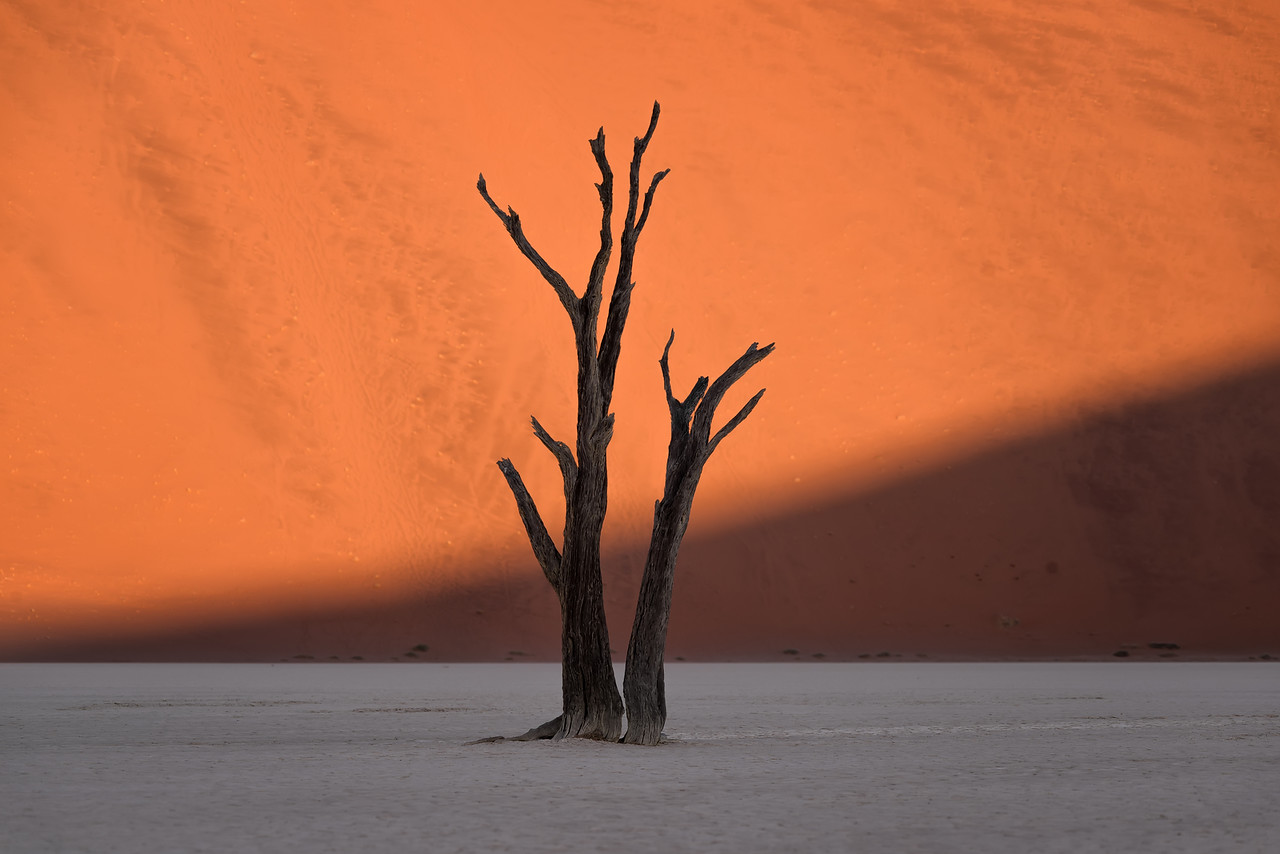   Namibia   Join us on a journey through the wild landscapes of Southern Africa. Learn about the culture, animal life, and stunning landscapes of Namibia, one of Africa's most beautiful countries.   Watch Highlights  