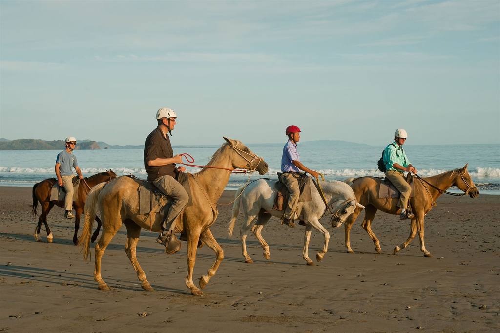 horseback-riding-2.jpg.1024x0.jpg