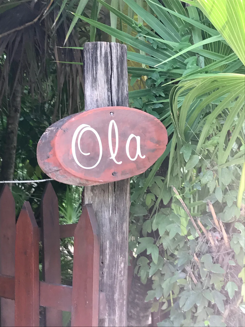 Ola.jpg
