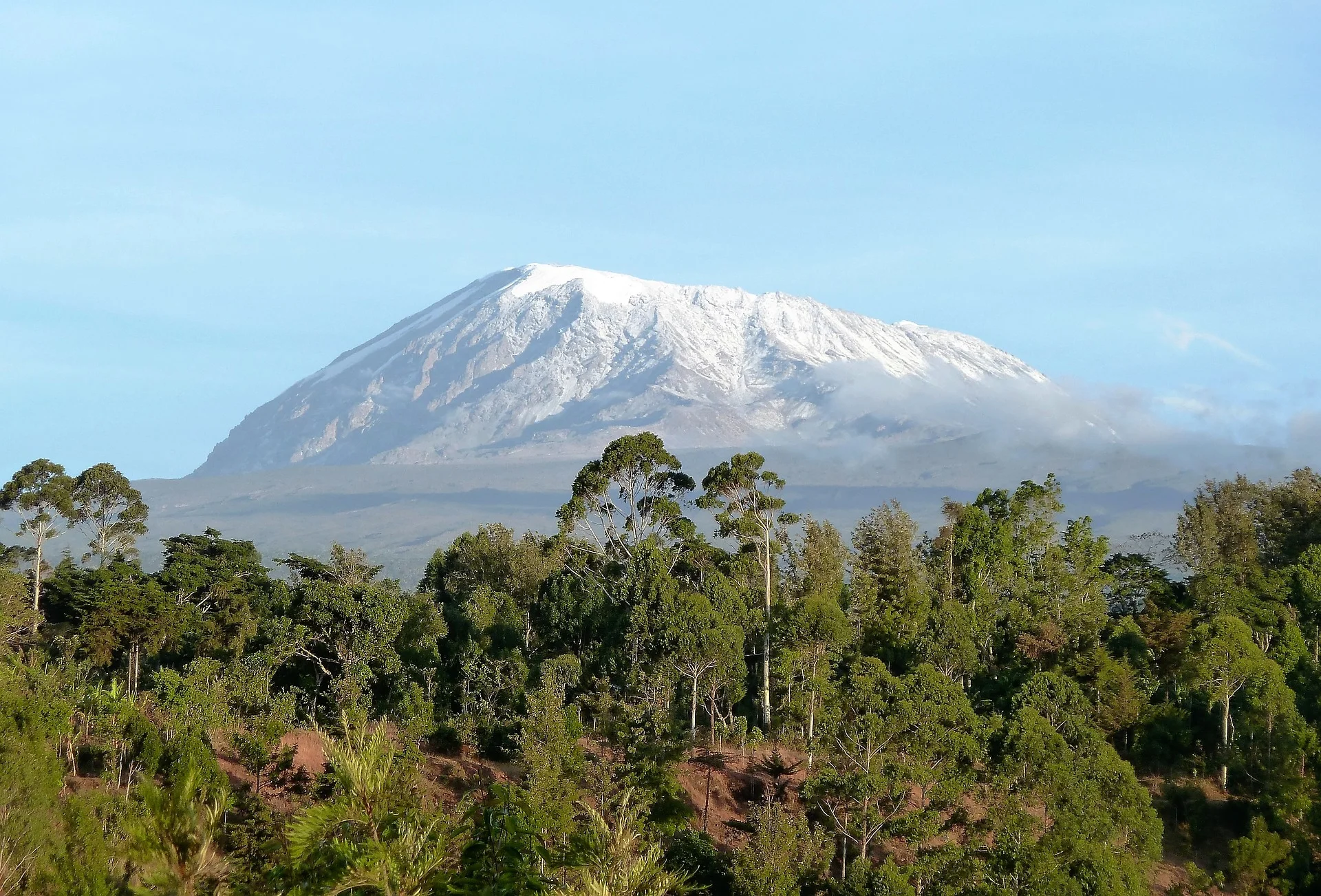 nature-1821576_1920.jpg