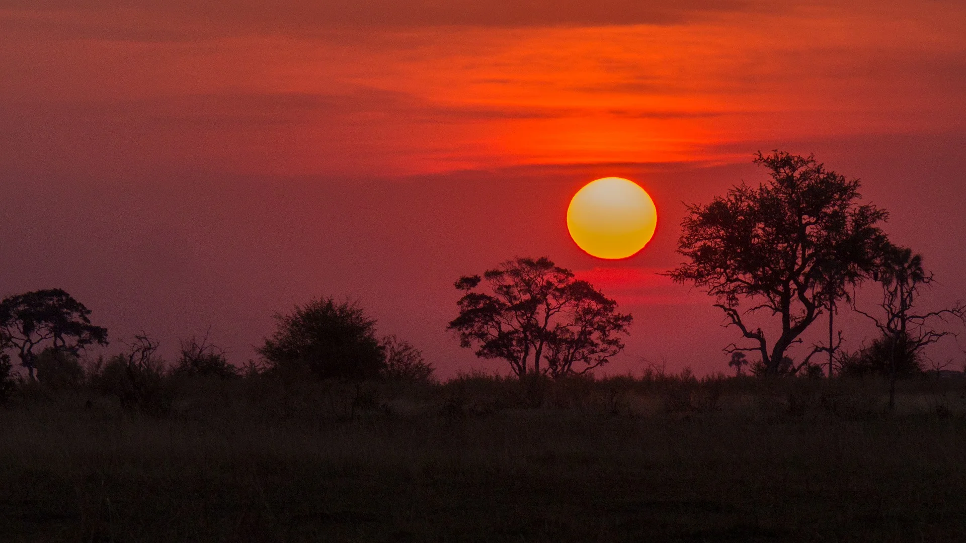 botswana-1653107_1920 (1).jpg