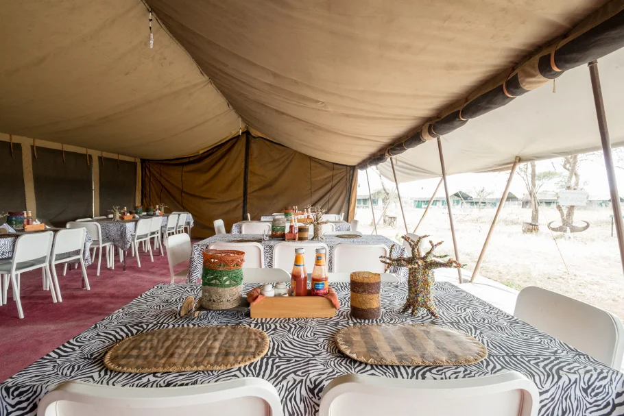 serengeti-wild-camp.jpg